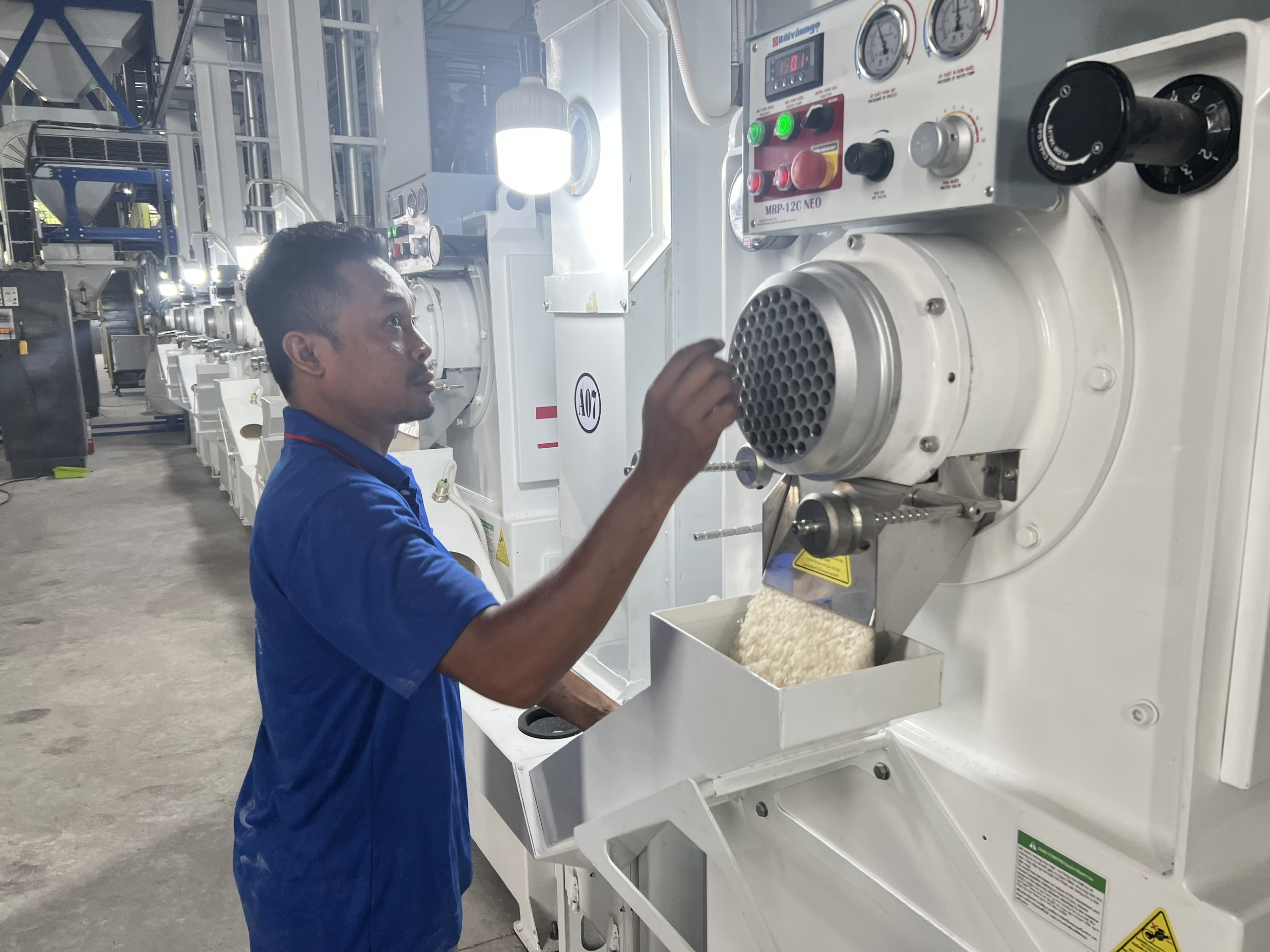 Doanh nghiệp xuất khẩu gạo được giảm điều kiện, bỏ lệ phí, rút thời gian cấp giấy - Ảnh 3.