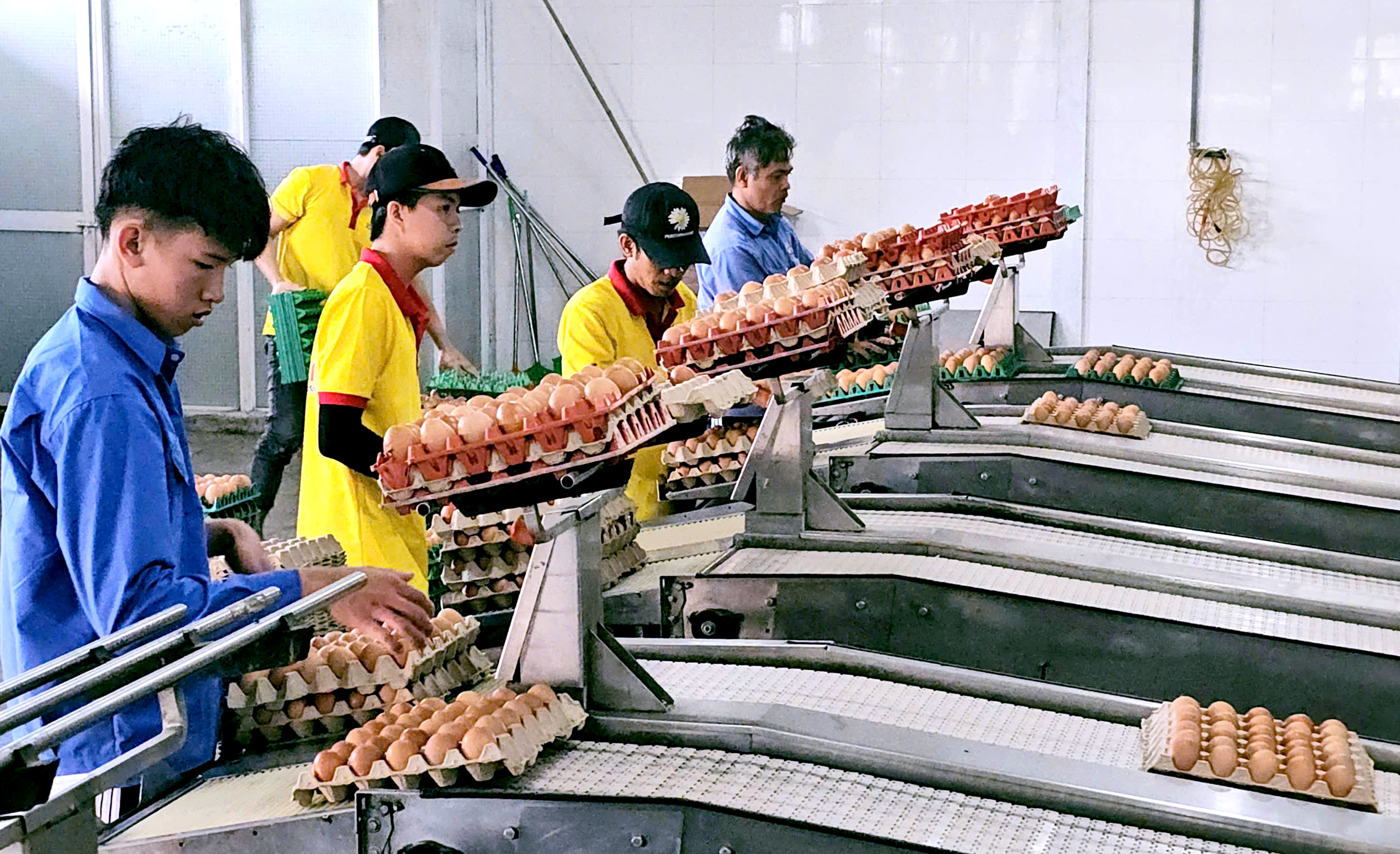 Ba Huân vướng nợ nần: Gia đình bà Ba Huân nói 'đã bán hết cổ phần, không liên quan các khoản nợ' - Ảnh 2.
