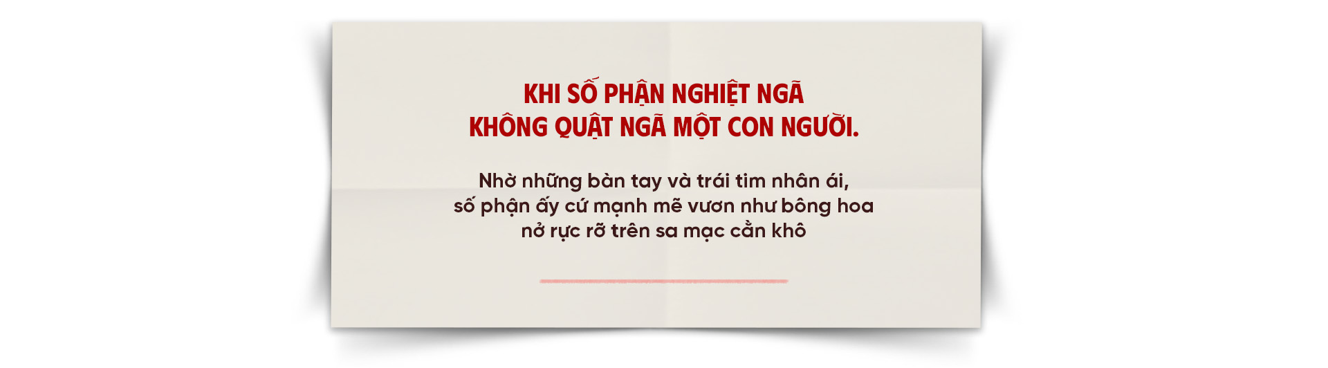 QUỸ THIỆN TÂM: HÀNH TRÌNH 20 NĂM GIEO MẦM THIỆN, LAN TỎA MẠCH NGUỒN NHÂN ÁI - Ảnh 2.