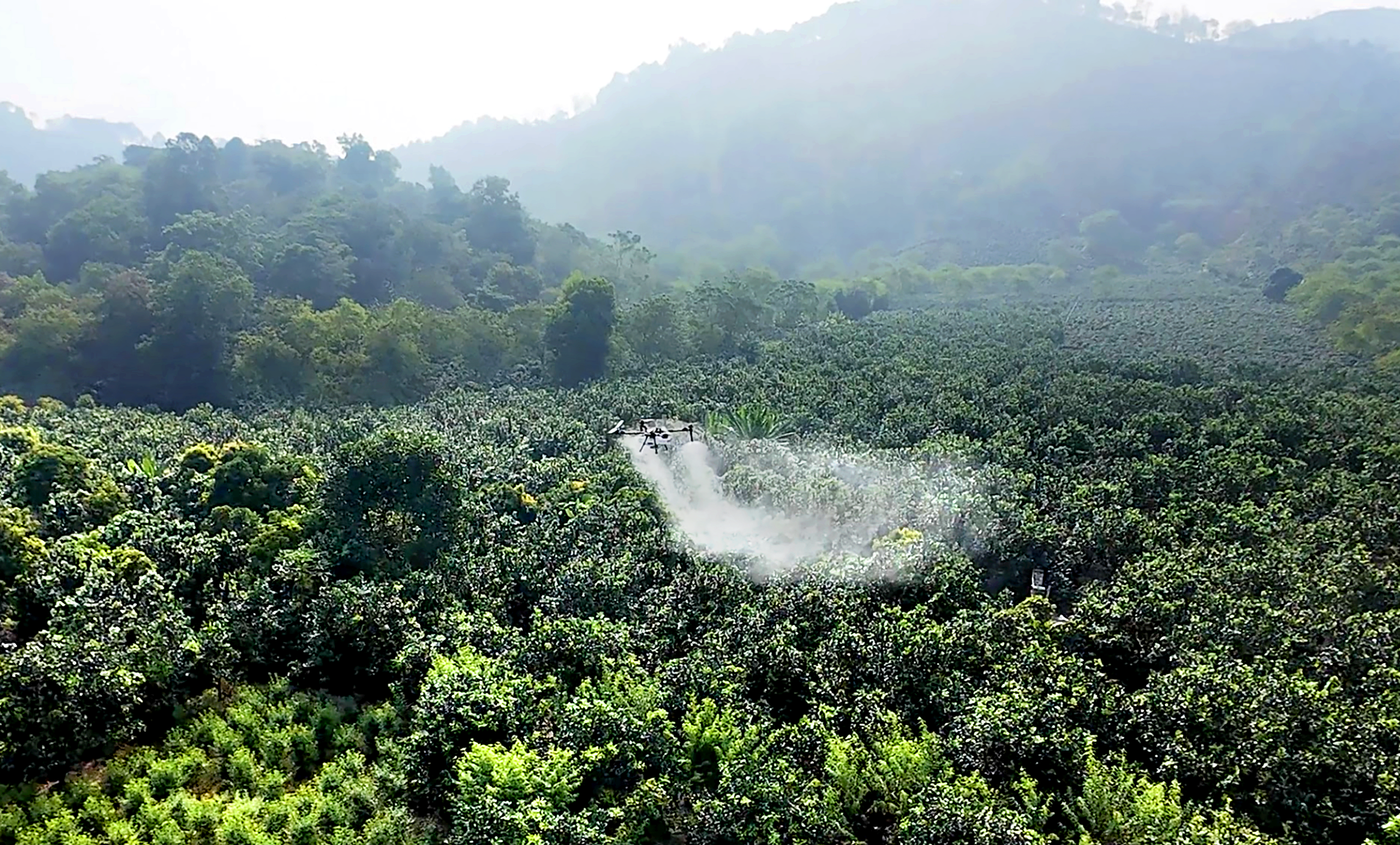 Dùng UAV hỗ trợ nông dân trên cánh đồng Điện Biên - Ảnh 2.