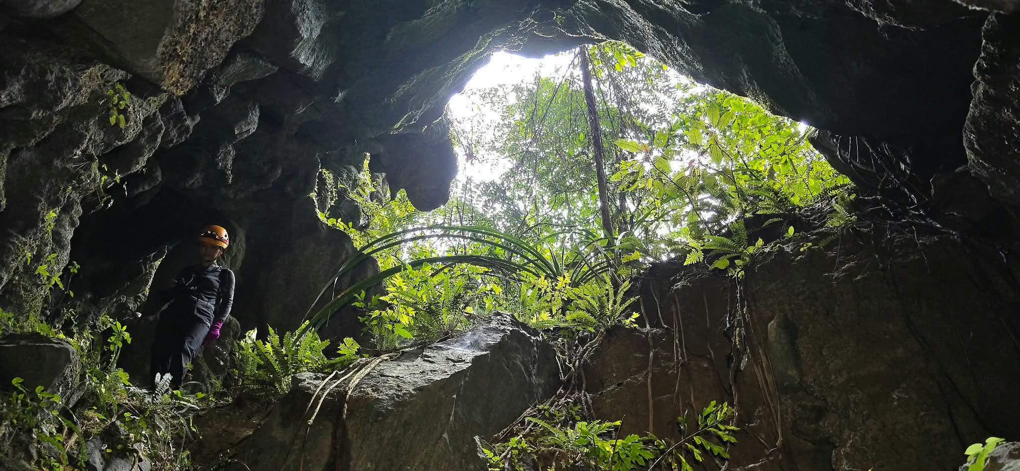 Phát hiện hố sụt khổng lồ, diện tích 2ha, sâu 120m giữa rừng Phong Nha - Kẻ Bàng - Ảnh 8.
