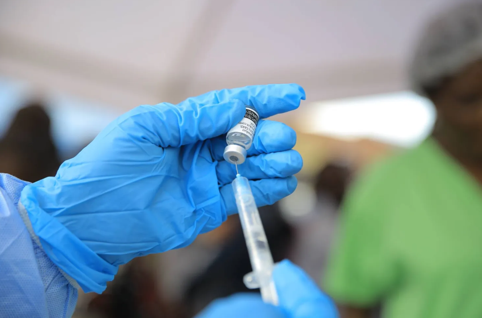 Pháp lần đầu phát hiện virus Shamonda ở người, bệnh nhân đã tử vong - Ảnh 1.