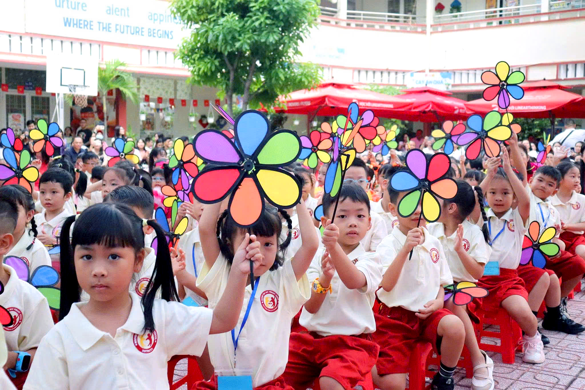 Không kiểm tra vào lớp 1, lớp 6: Tuyển sinh bằng cách nào? - Ảnh 2.