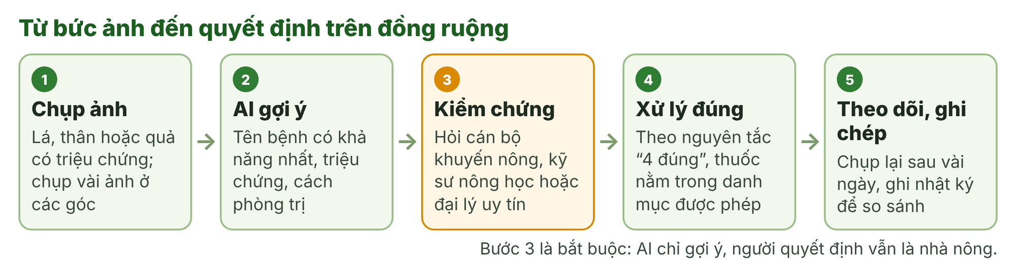 'Bác sĩ cây trồng' trong túi áo: Chụp một tấm ảnh lá, AI chỉ ra bệnh trong vài giây - Ảnh 3.
