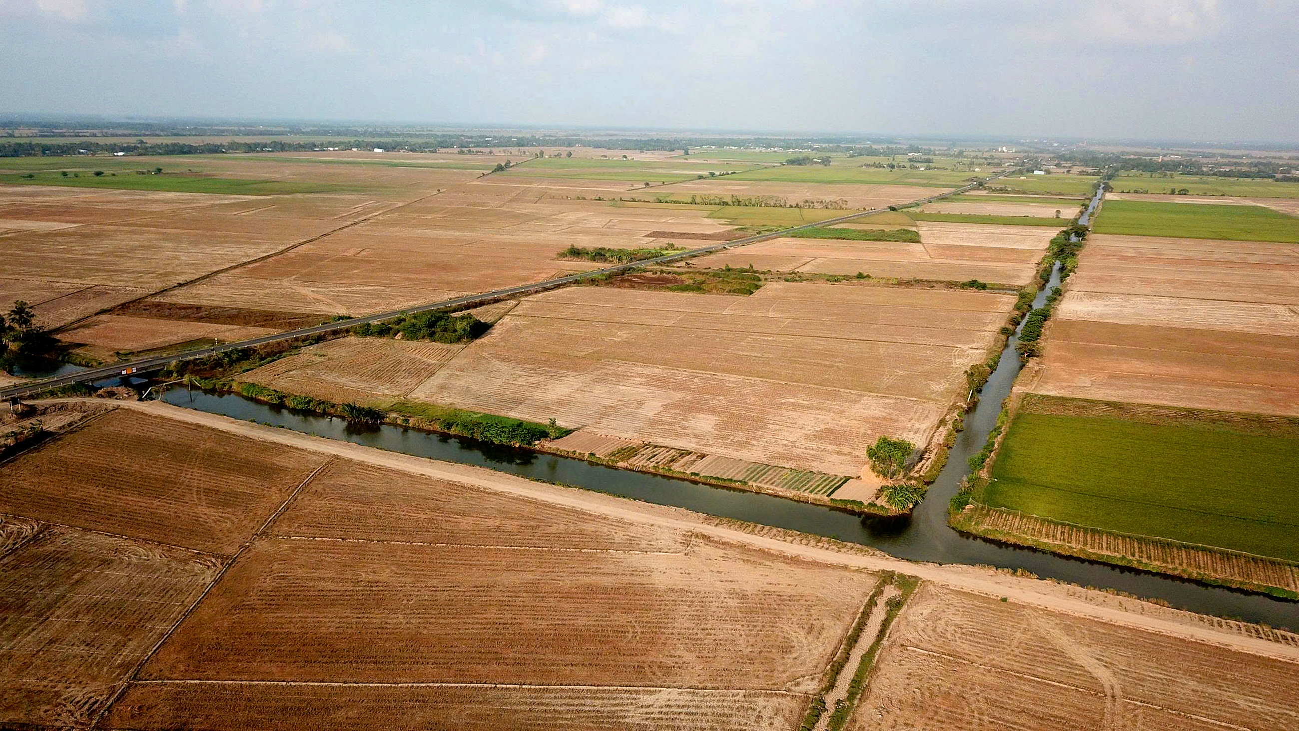 Xâm nhập mặn đến sớm, vào sâu 70-130km, làm gì để bảo vệ lúa và cây ăn trái ở miền Tây? - Ảnh 2.