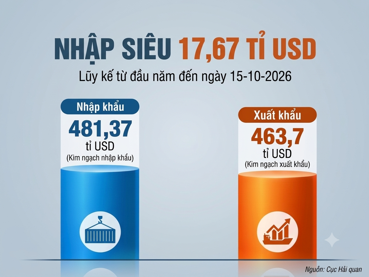 Xuất nhập khẩu hàng hóa tiến sát mốc 1.000 tỉ USD - Ảnh 5.