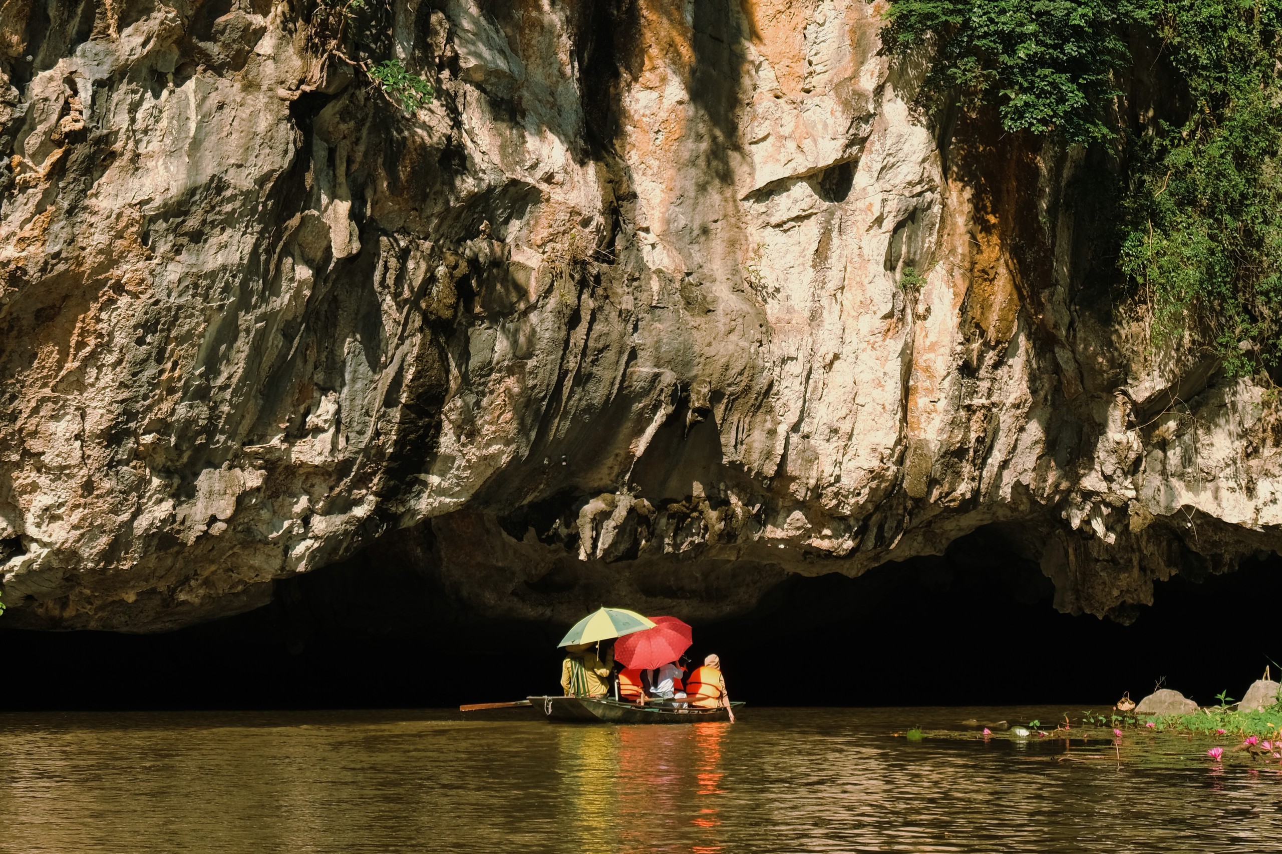 Ninh Binh beyond the usual sights: Spot thousands of birds at northern Vietnam’s largest natural bird park- Ảnh 10.