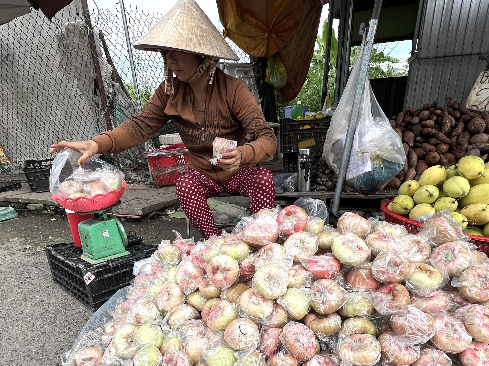 Giá cả đầu ngày: Cuối vụ, mận An Phước, chôm chôm Tiến Cường được giá - Ảnh 1.