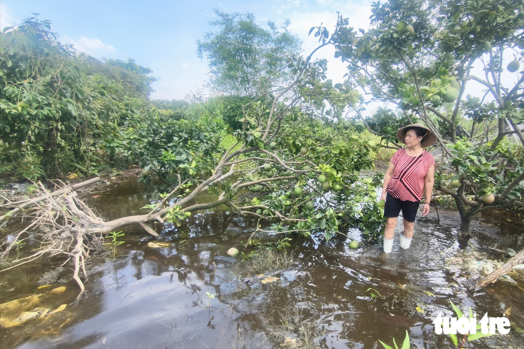 Ho Chi Minh City runs 5 pumping stations to combat flooding - Ảnh 3.
