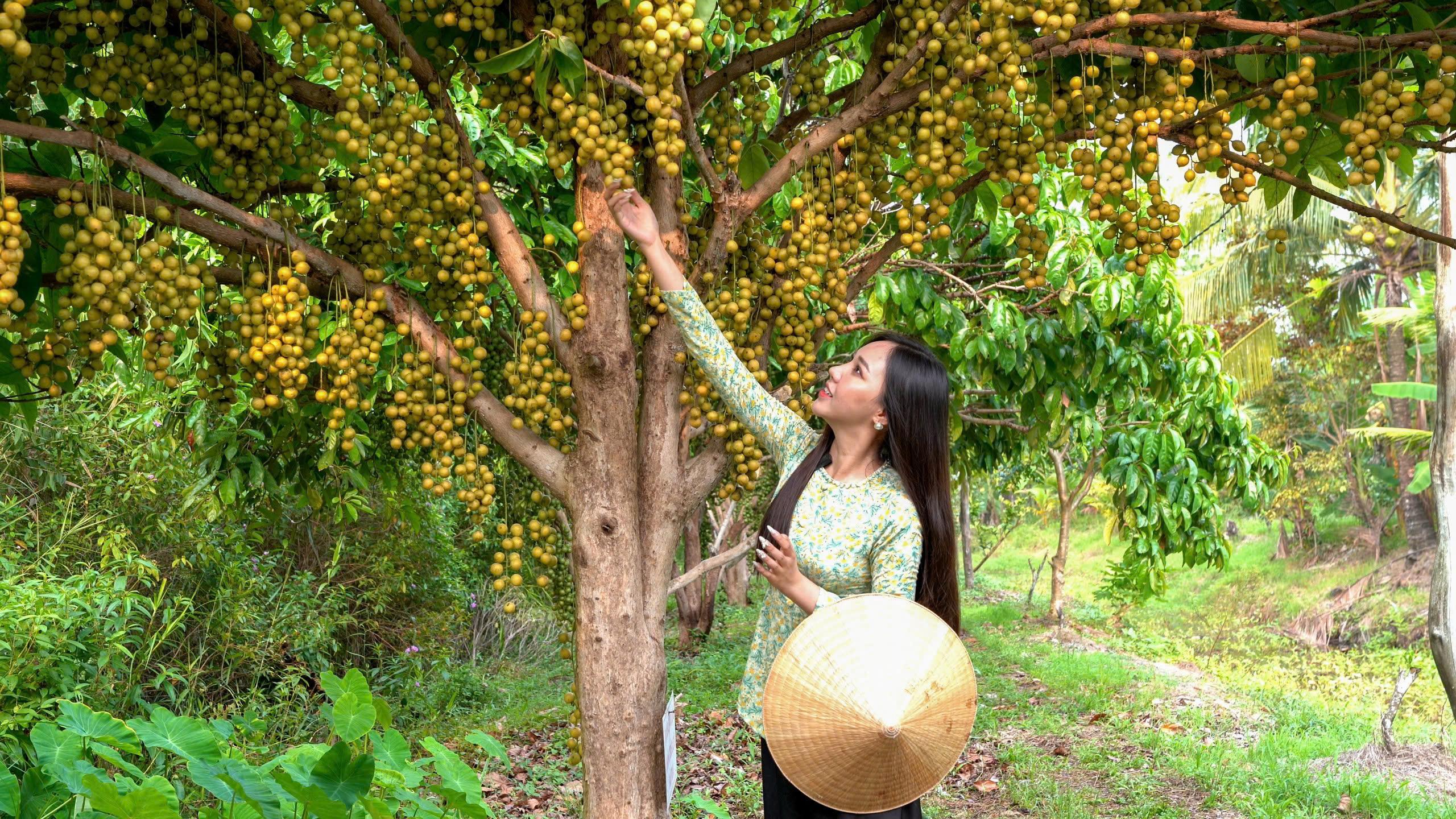 Cửa ngõ dòng Mekong - Bài 3: Mở cửa ra biển  - Ảnh 8.