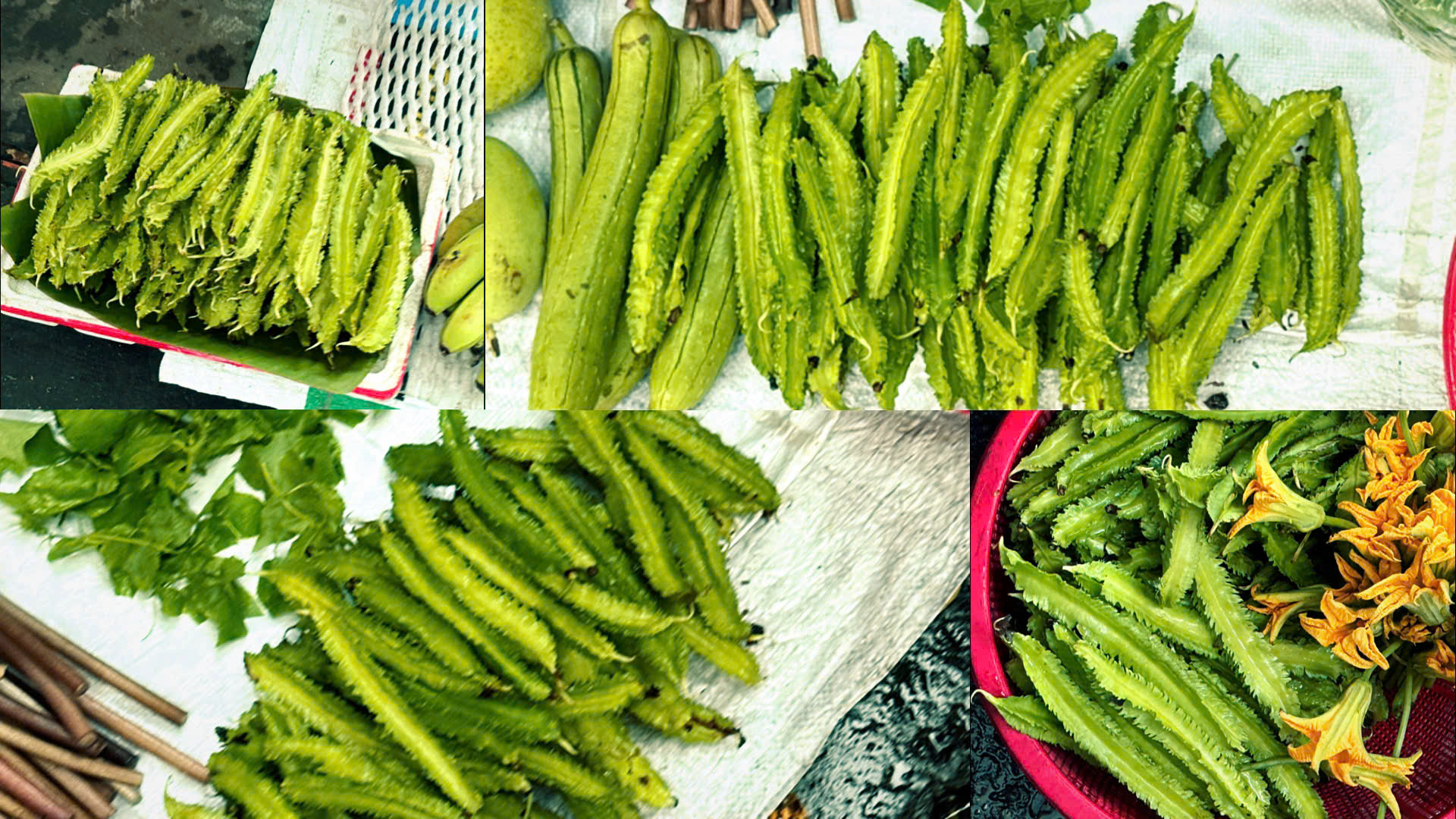 Giá cả đầu ngày: Cúc họa mi vào mùa, quýt đường 50.000 đồng/kg - Ảnh 3.