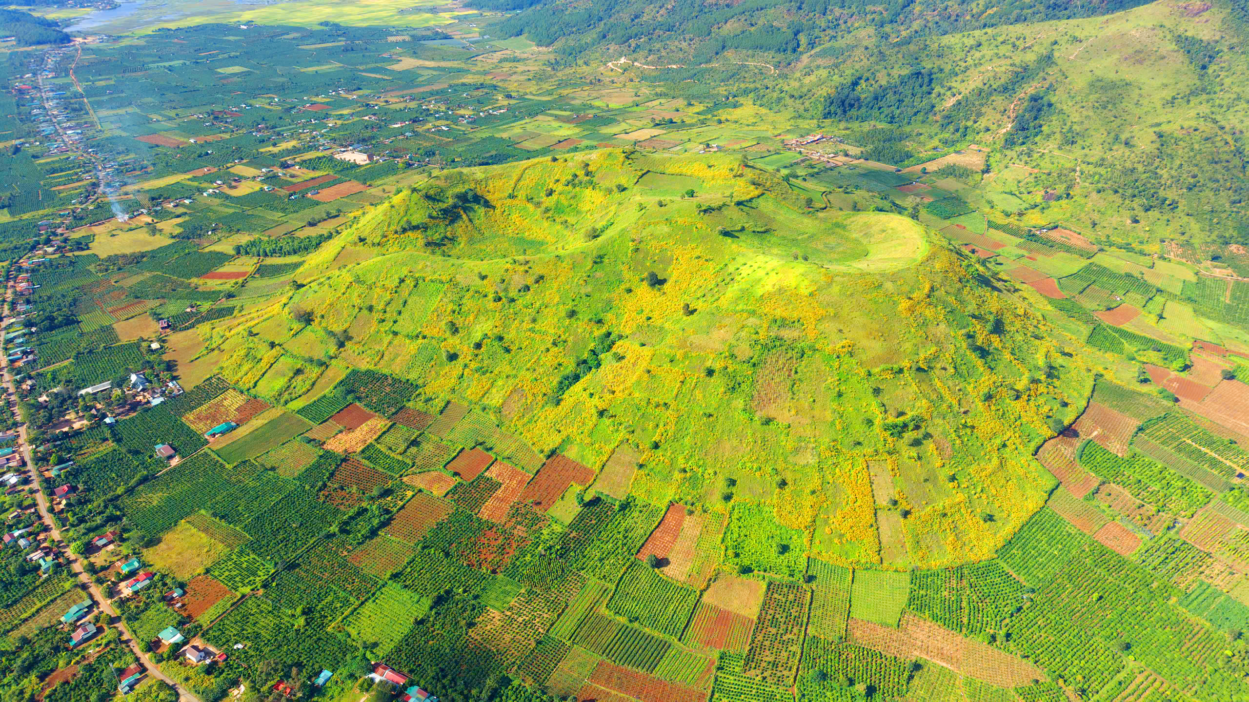 Gong Festival, Wild Sunflower Week kick off in Vietnam’s Central Highlands- Ảnh 6.