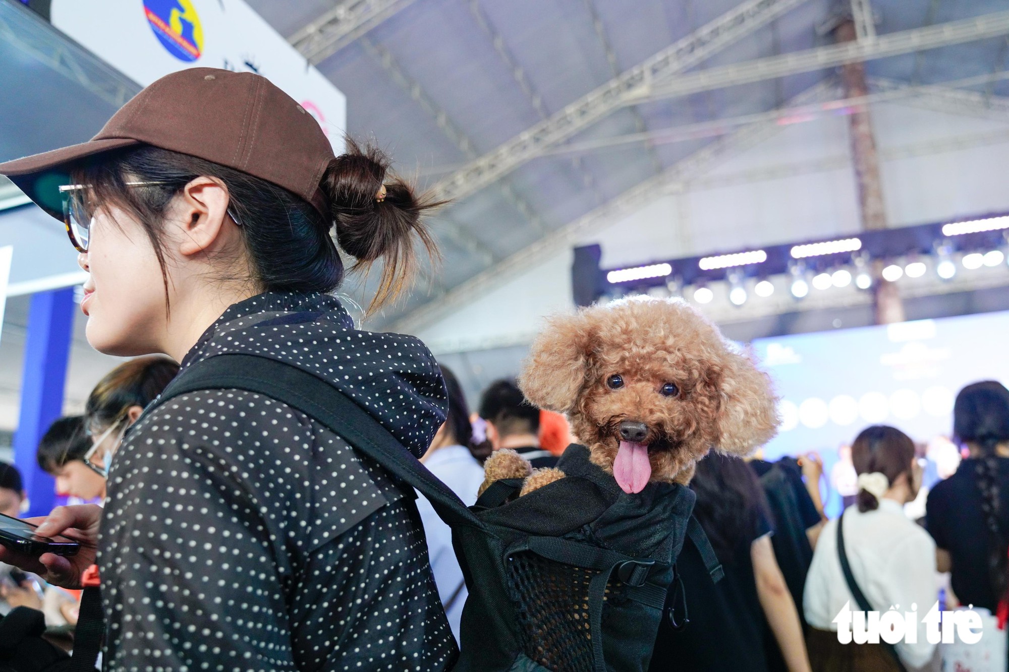 Dàn thú cưng hóa trang Halloween, tranh tài trên sàn diễn Super Pet Fest - Ảnh 14.