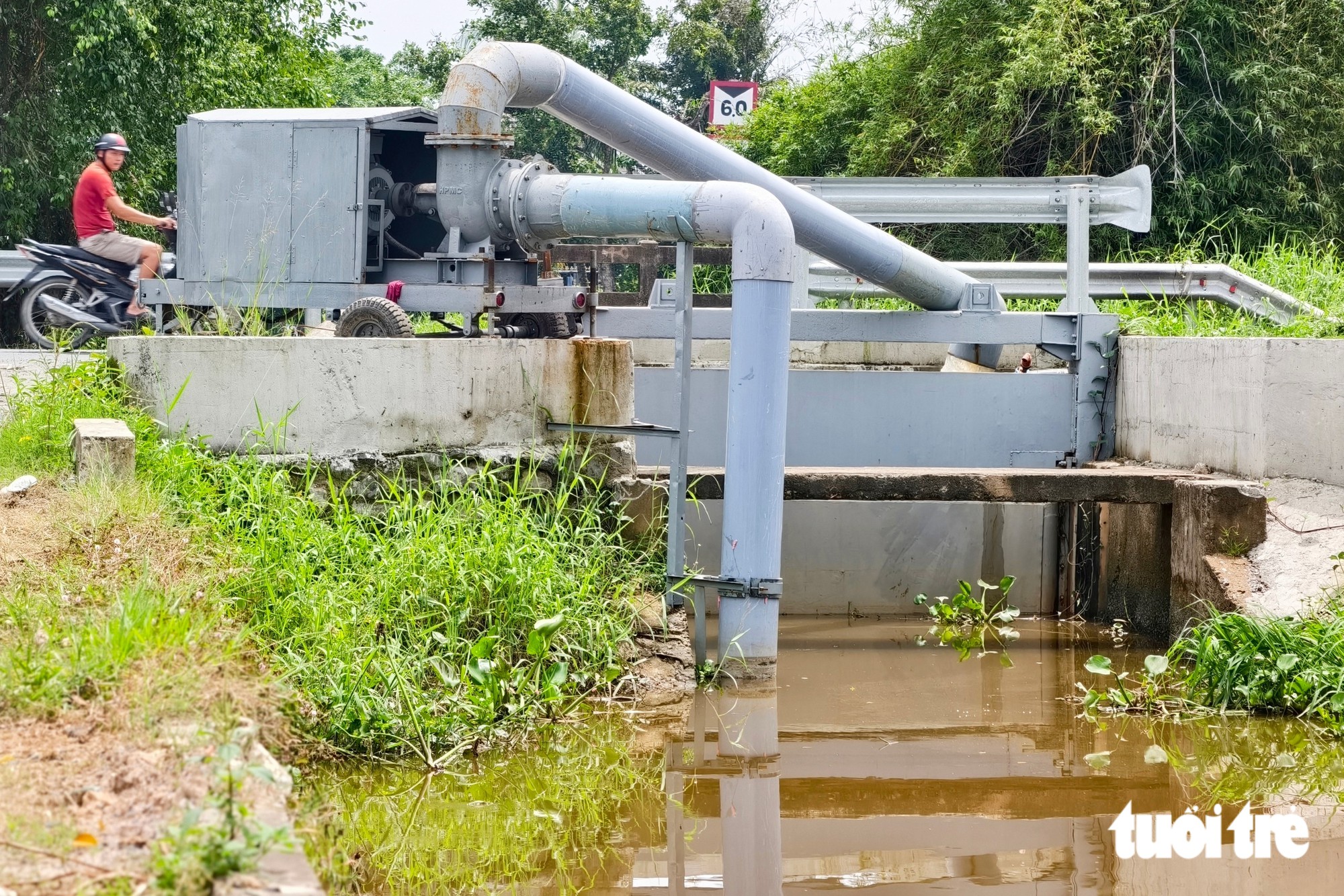 Bình Lợi nâng cấp hạ tầng thủy lợi, bảo vệ hơn 600ha mai vàng - Ảnh 5.