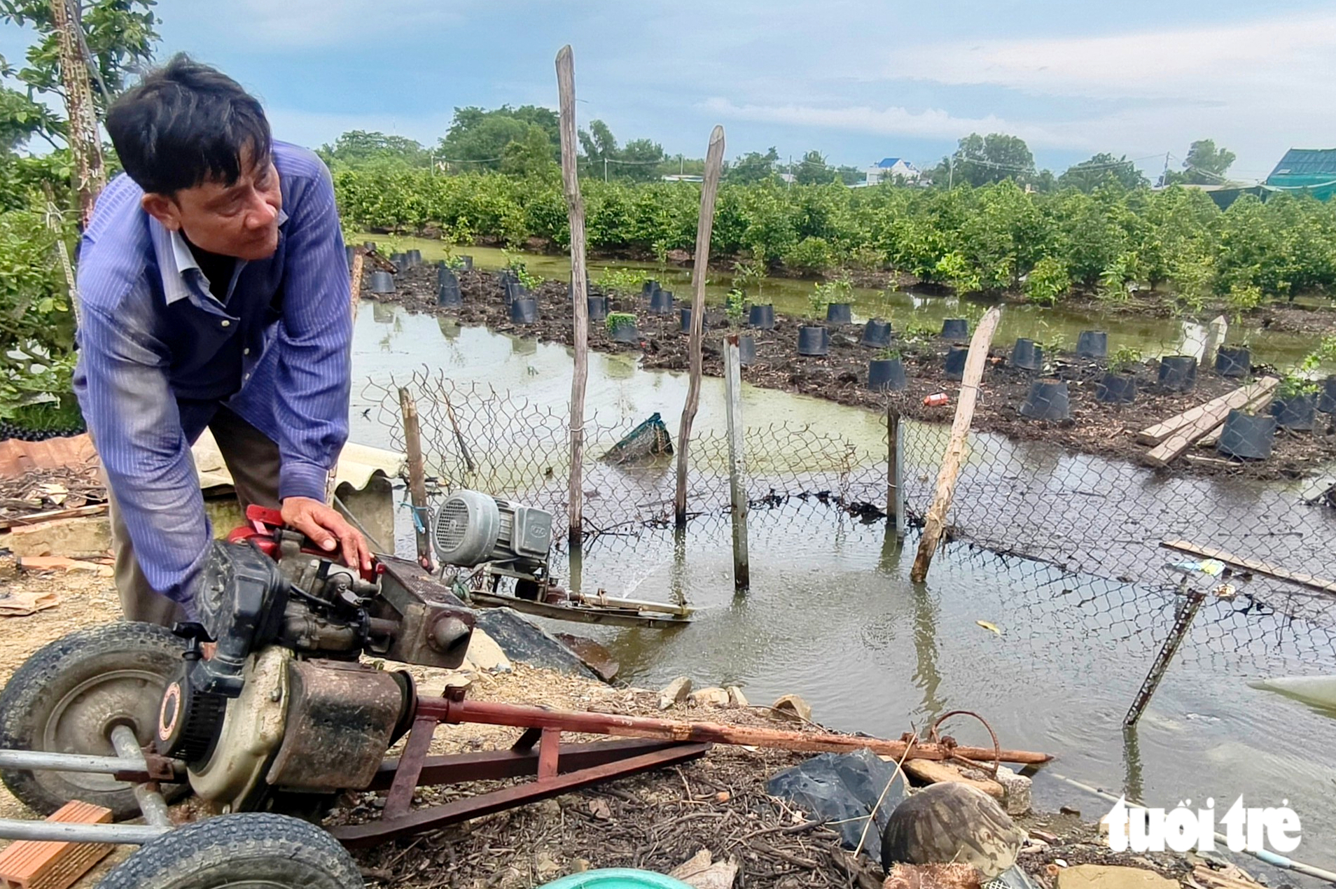 Bình Lợi nâng cấp hạ tầng thủy lợi, bảo vệ hơn 600ha mai vàng - Ảnh 3.