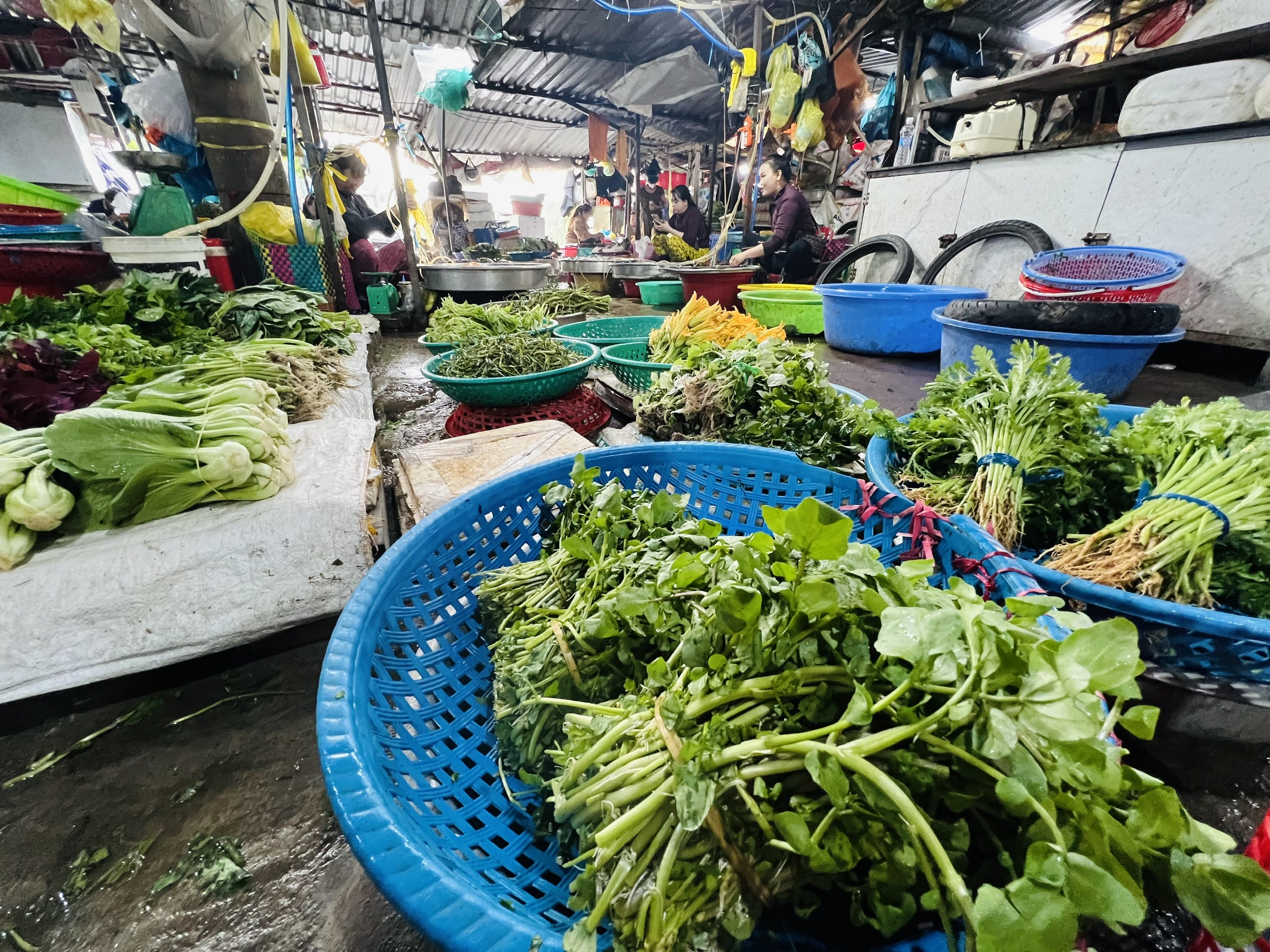 Giá cả đầu ngày: Khô cá đồng vào mùa, xà lách xoong tăng giá, heo hơi giảm còn 53.0000 đồng/kg - Ảnh 2.