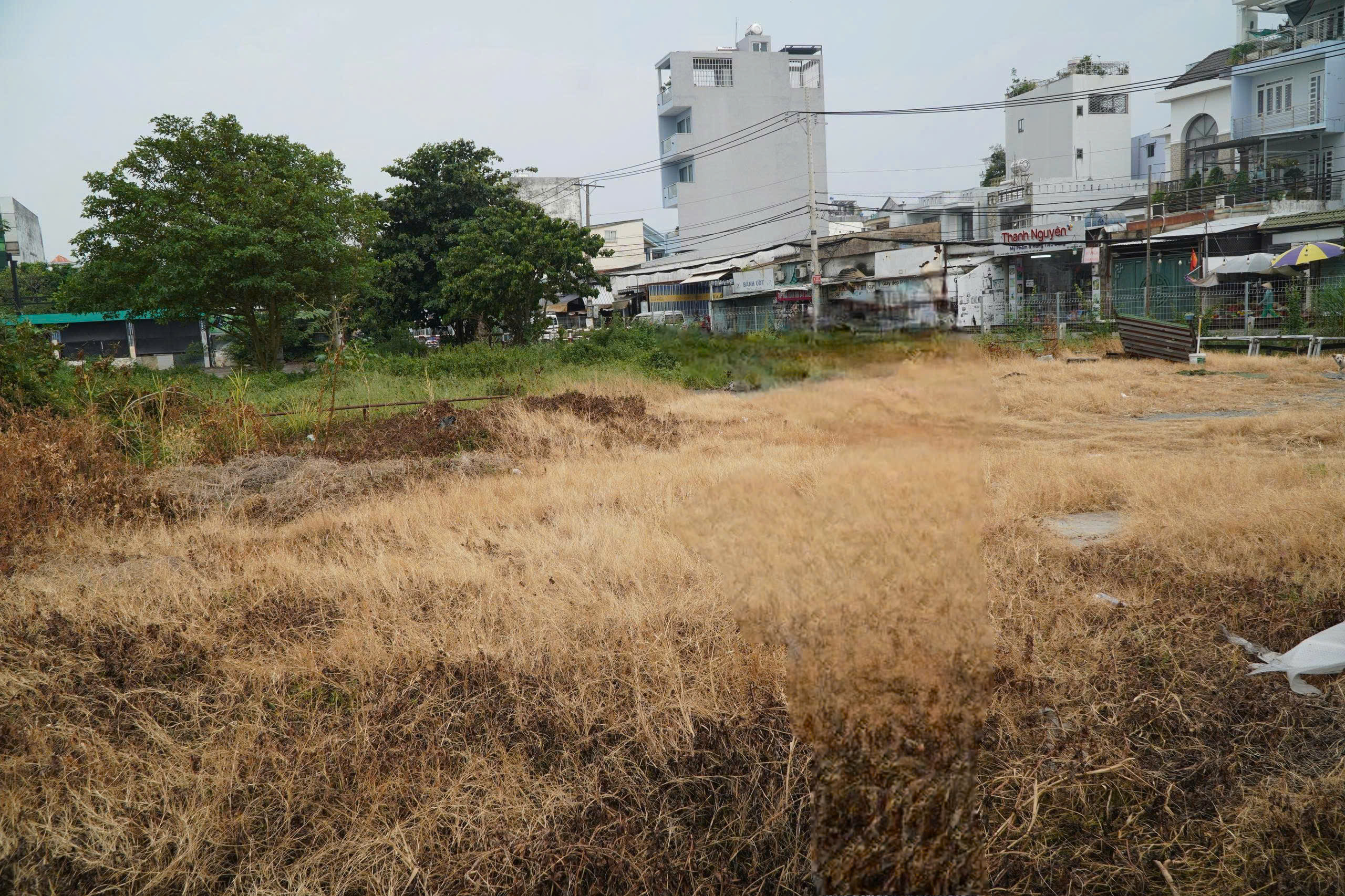 Vướng quy hoạch, 6.500m² đất trung tâm phường Bình Trị Đông của 11 hộ dân phải để hoang suốt 20 năm - Ảnh 3.