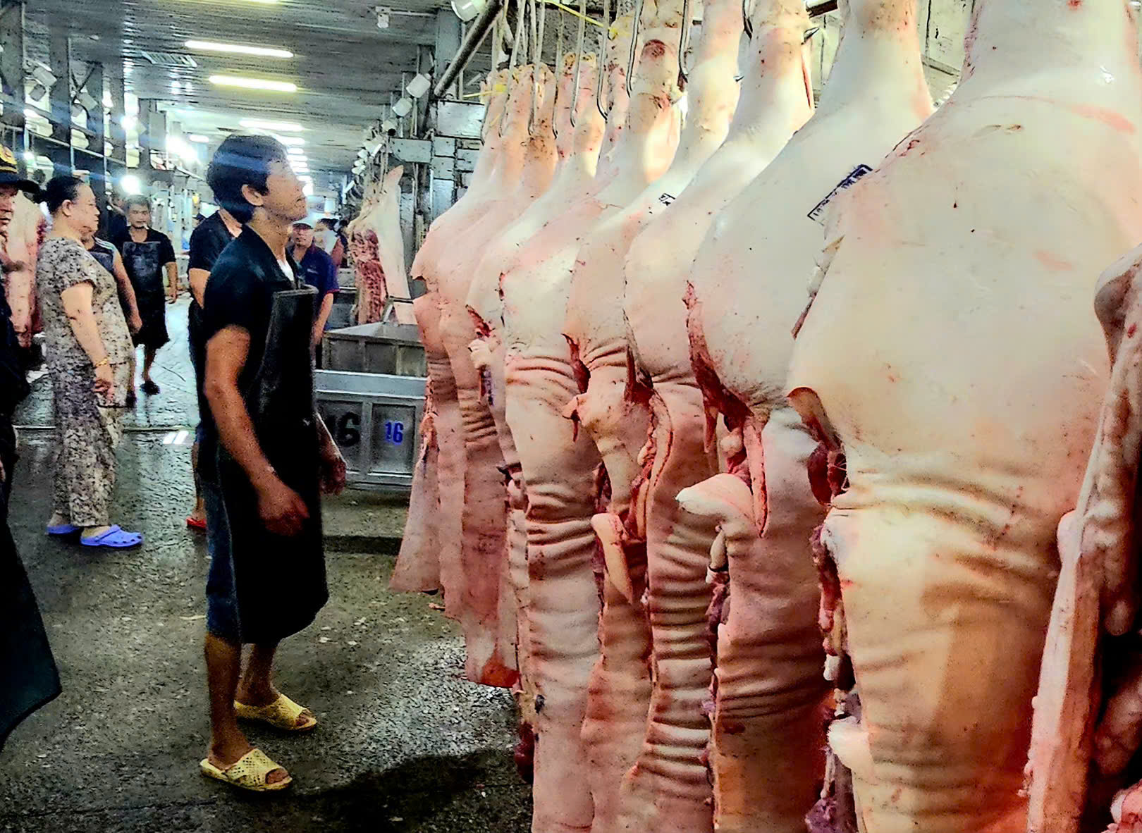 Giá cả đầu ngày: Nấm rơm hữu cơ lên 160.000 đồng/kg, cá chạch lấu 250.000 đồng/kg - Ảnh 3.