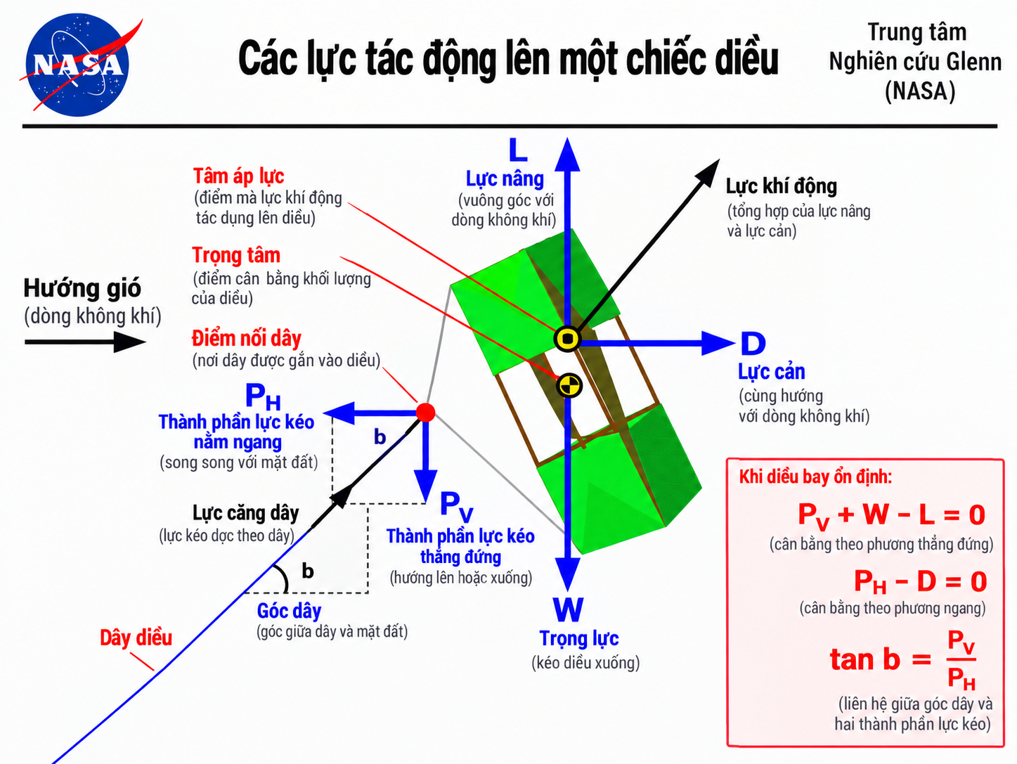 Vì sao một chiếc diều có thể nhấc bổng người lên khỏi mặt đất? - Ảnh 1.