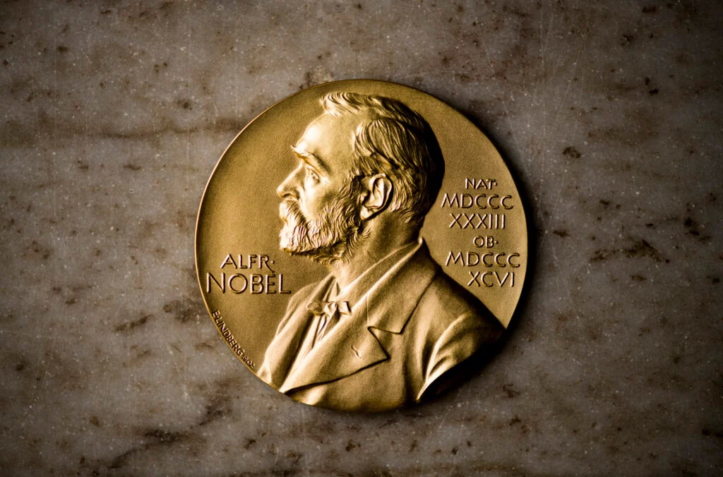 Navi Pillay là chủ nhân giải Nobel Hòa bình 2026 - Ảnh 1.
