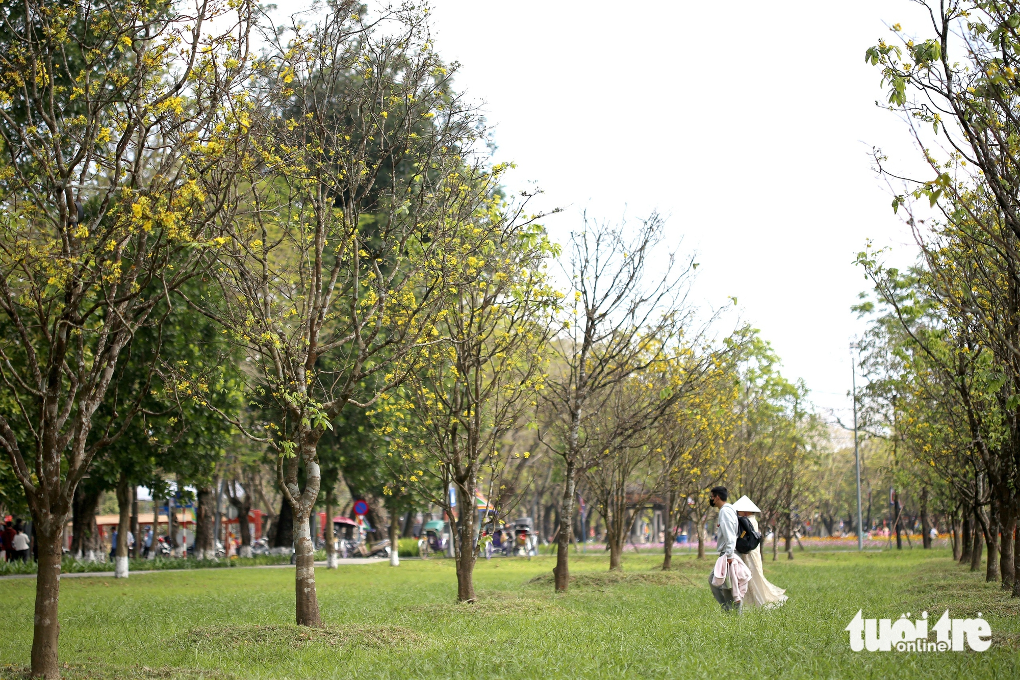 đường hoàng mai - Ảnh 4.