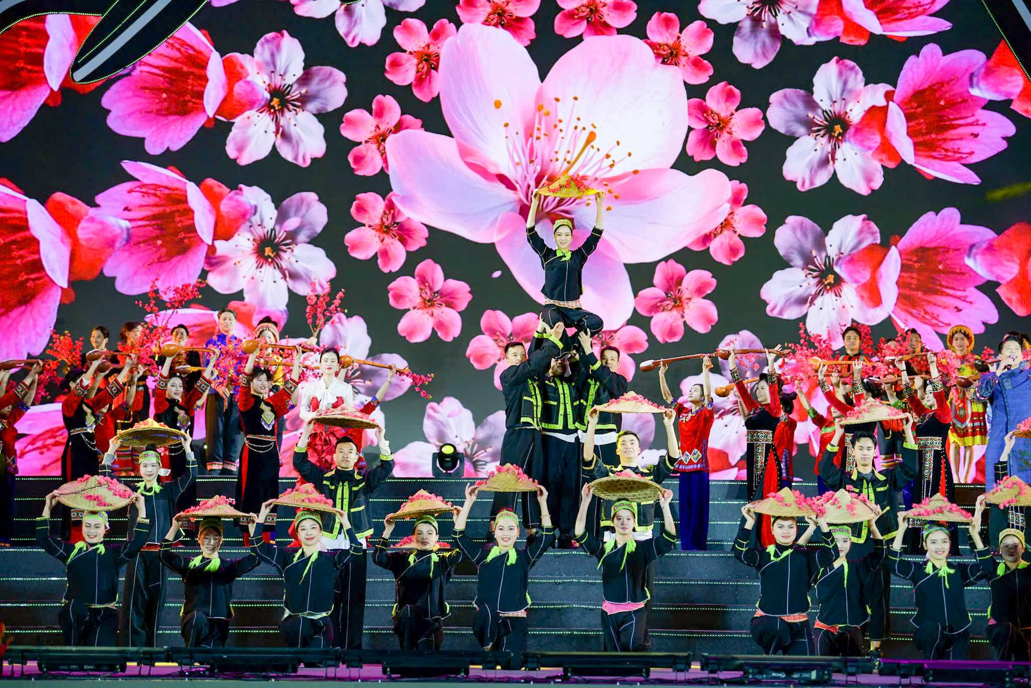 linh vật ngựa - Ảnh 5.