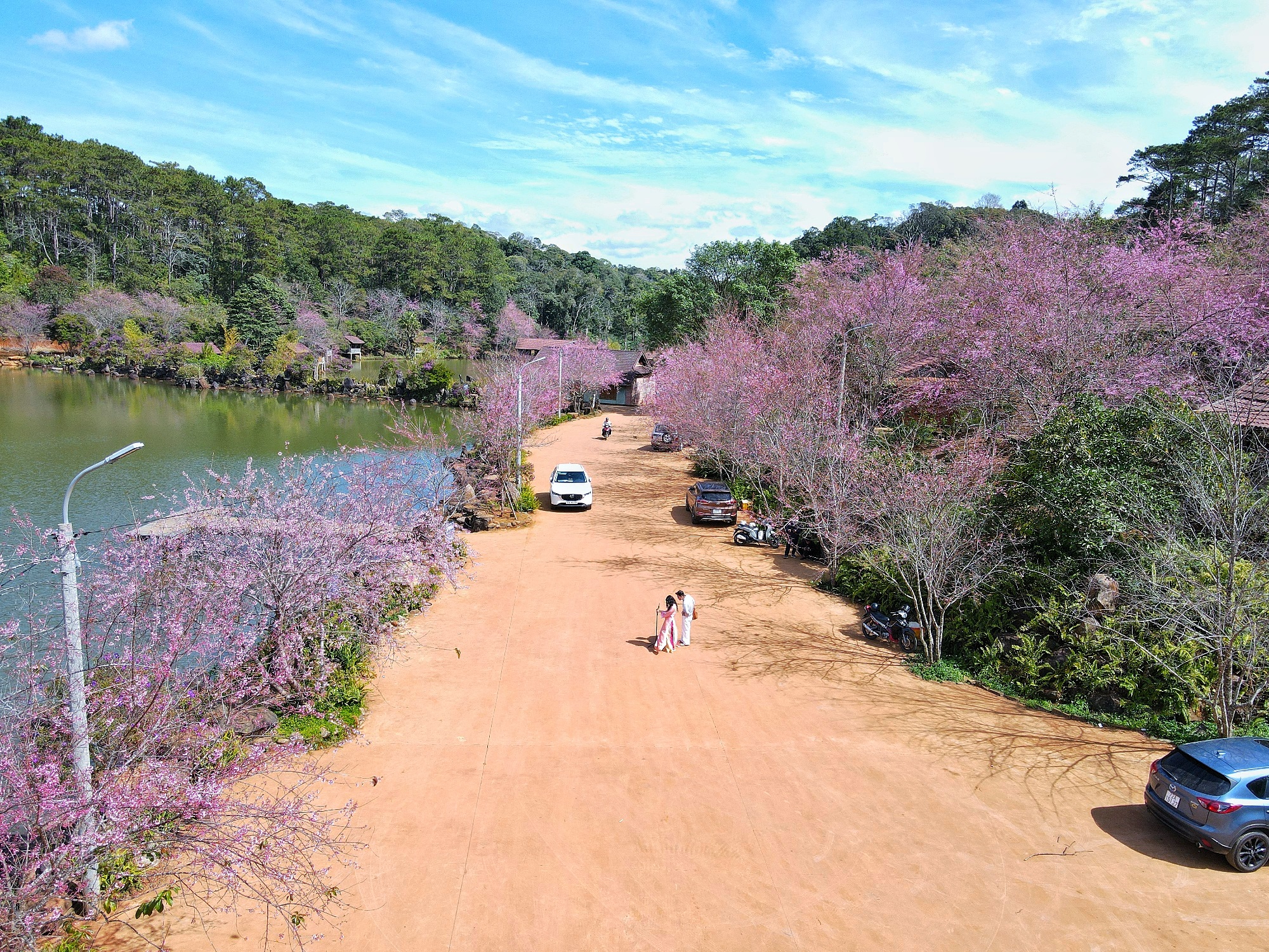 măng đen - Ảnh 10.