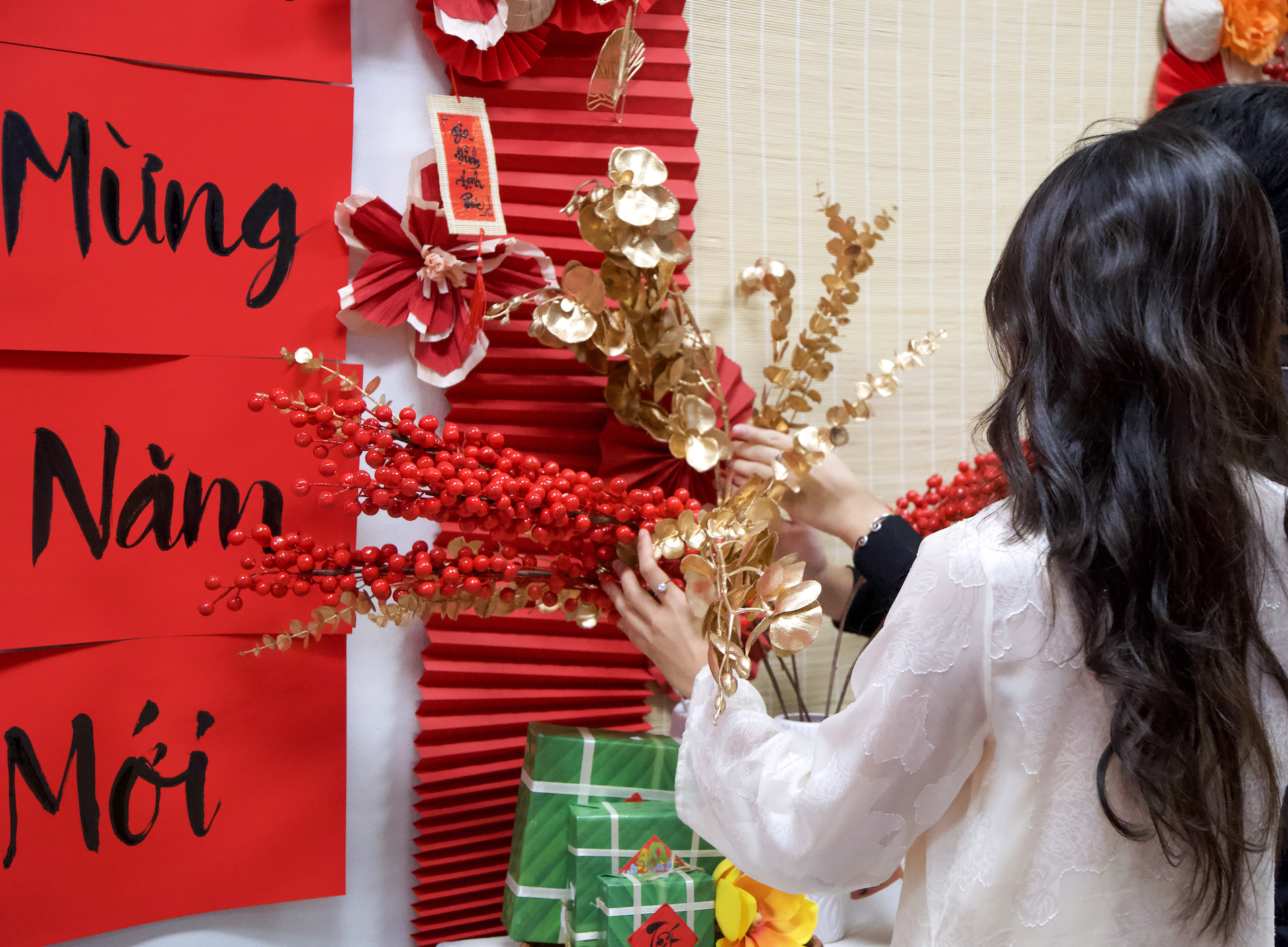 VietFest 2026 - Ảnh 1.