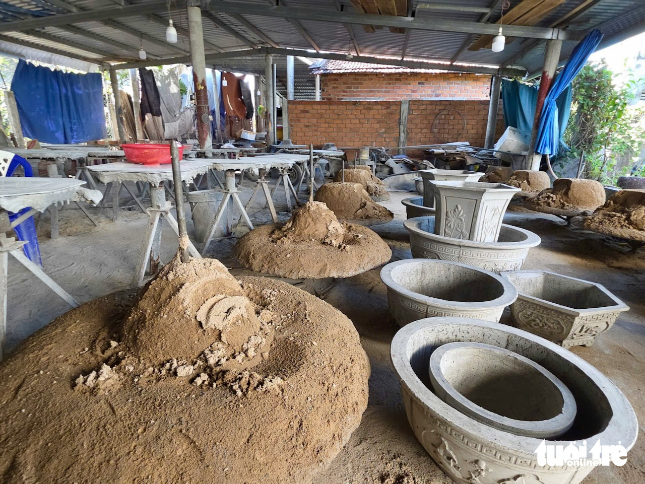 chậu cảnh - Ảnh 4.