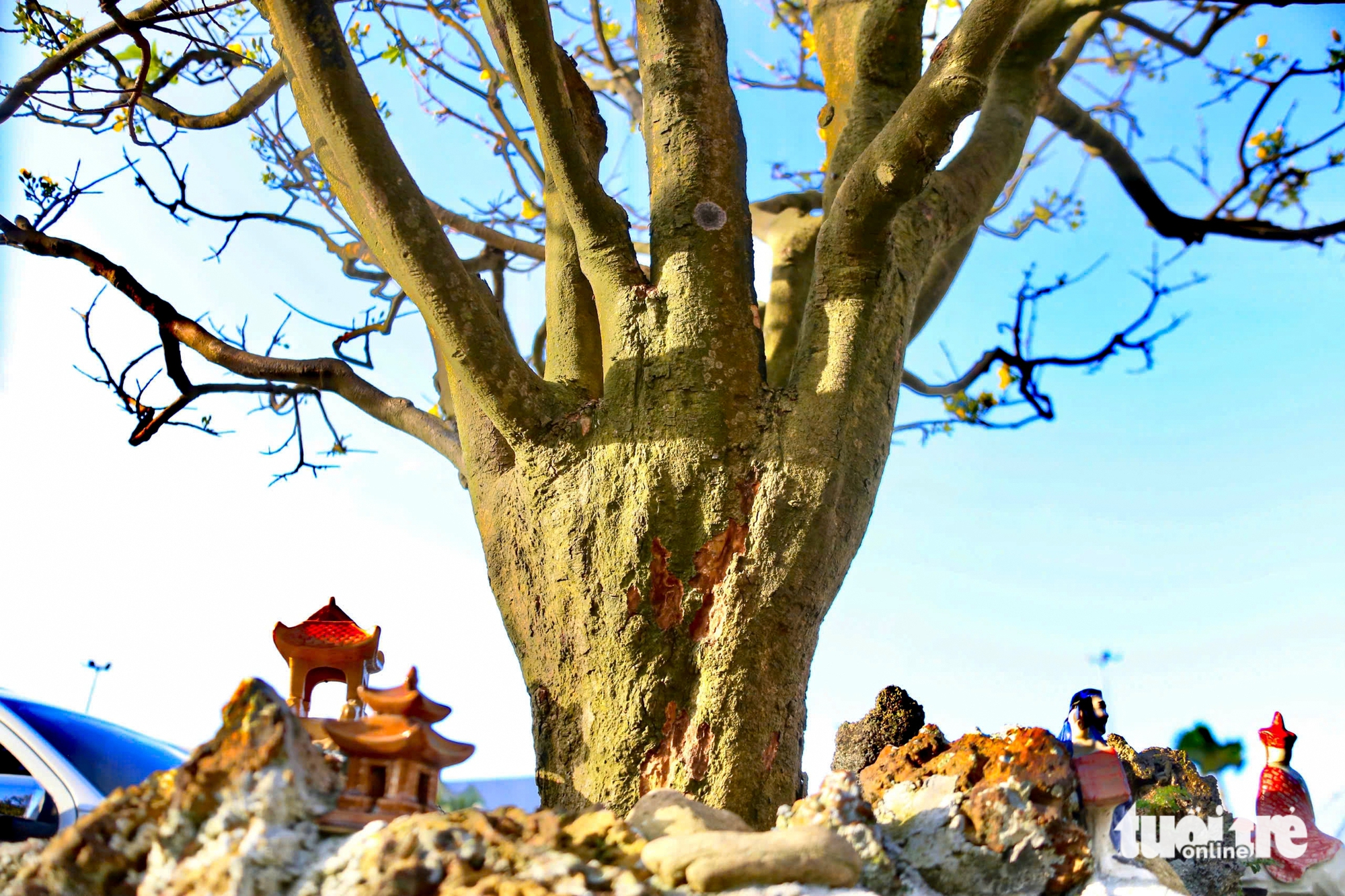 Đà Nẵng - Ảnh 3.