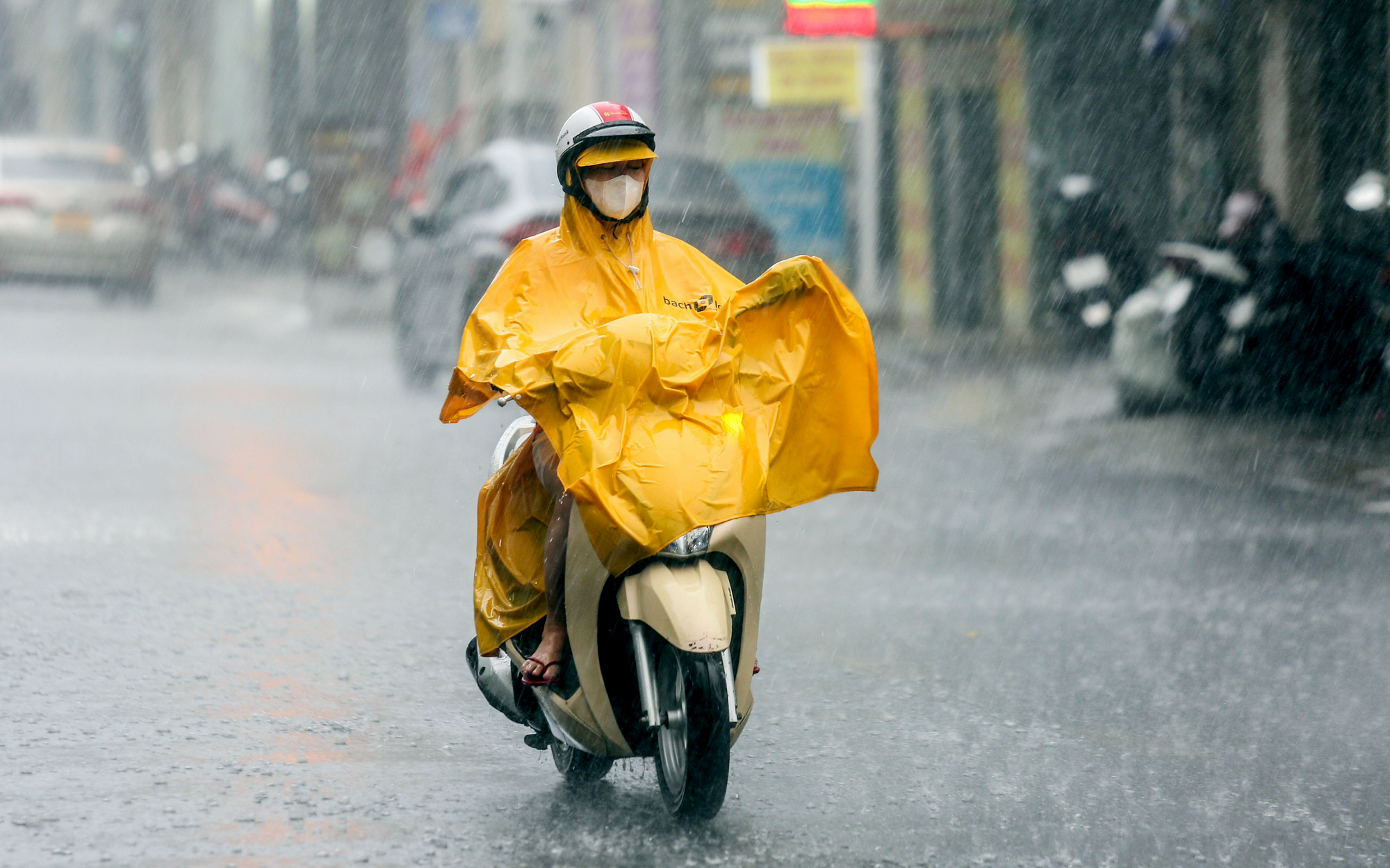 Nam Bộ và TP.HCM đón mưa trái mùa hai ngày tới, cảnh báo thiệt hại cây trồng