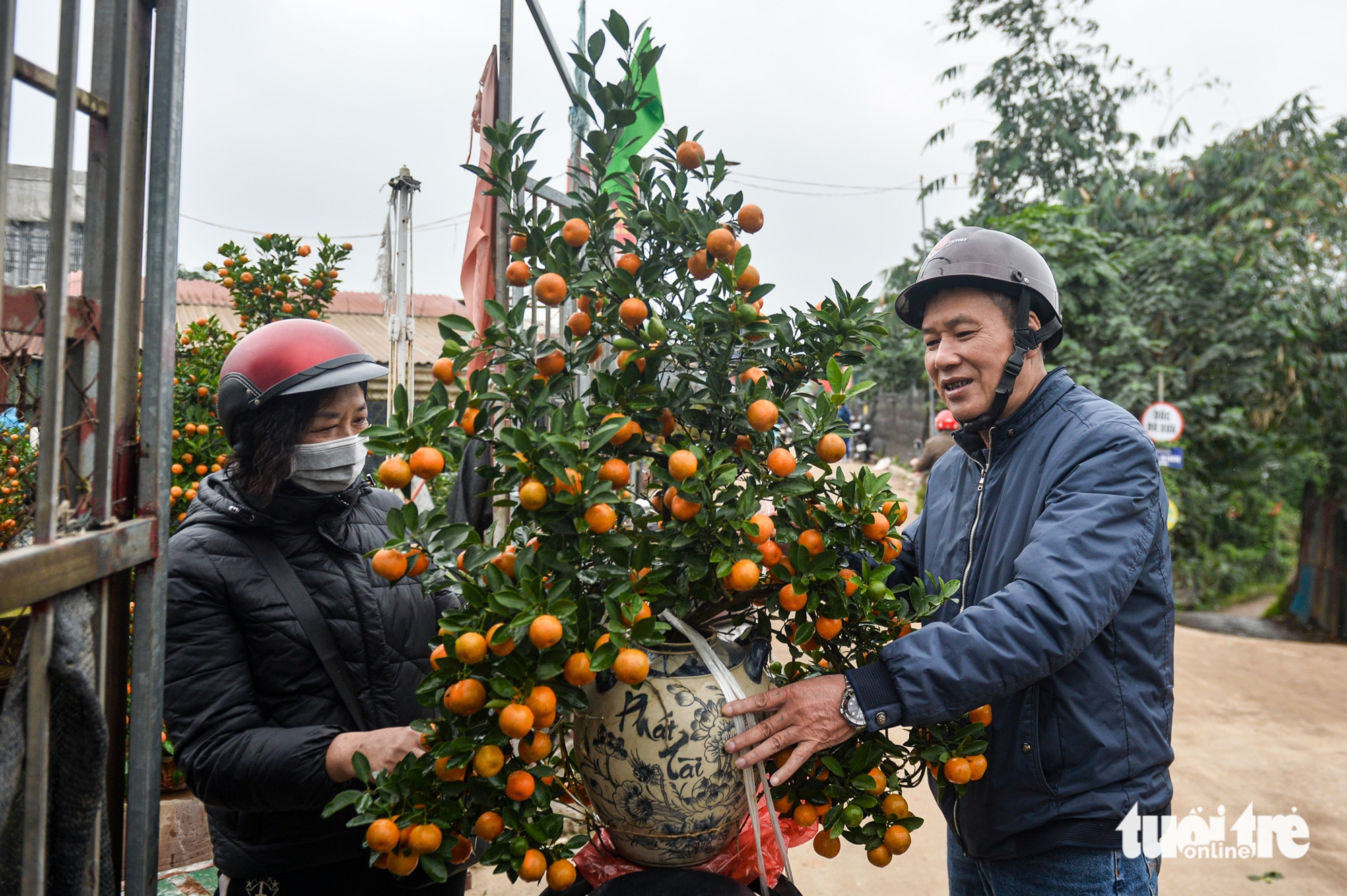 Tết Bính Ngọ - Ảnh 1.