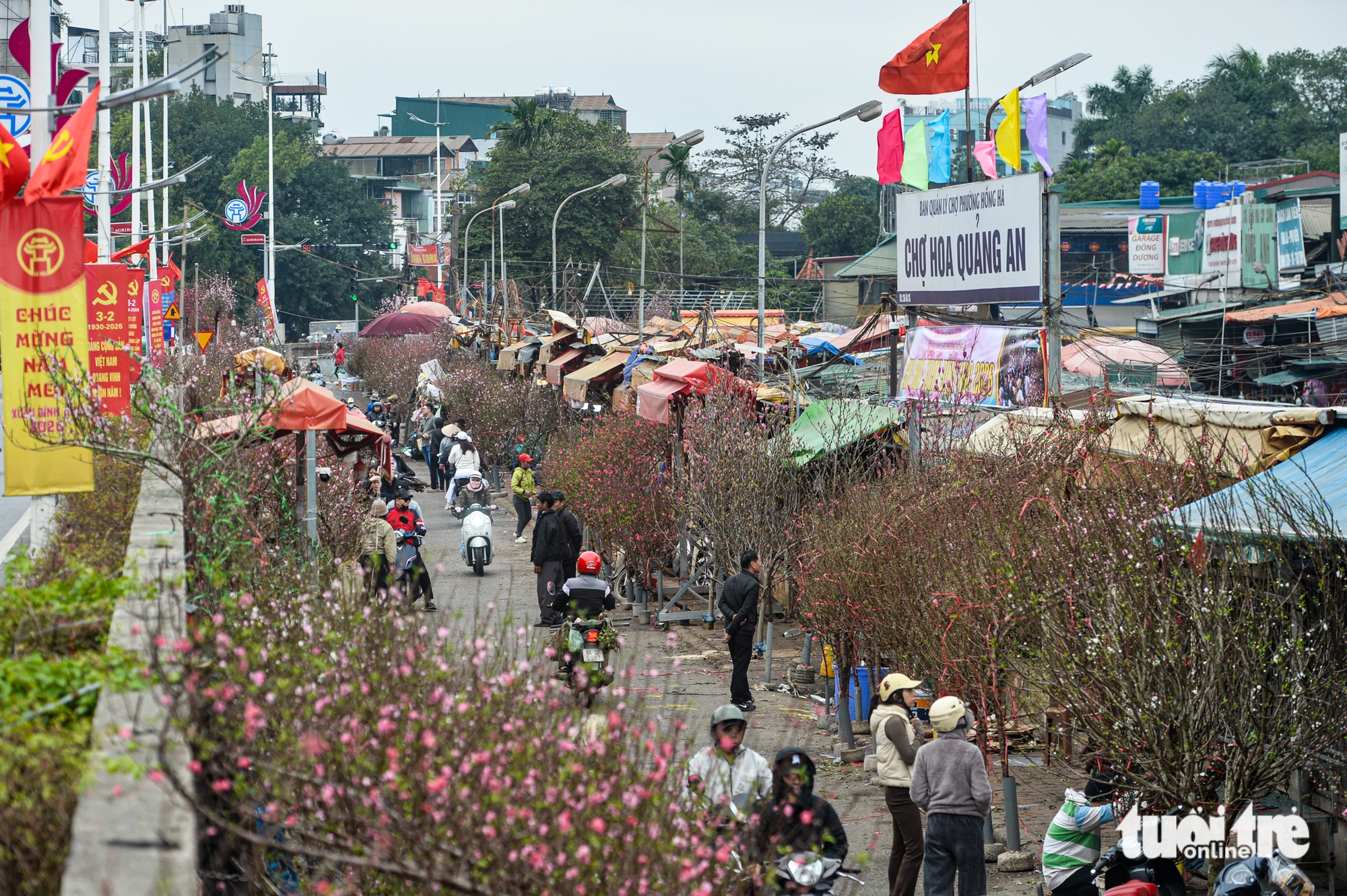 Quất 3 triệu đồng/cây đắt khách, đào 1,4 triệu đồng/cành khách lắc đầu bỏ đi - Ảnh 4.