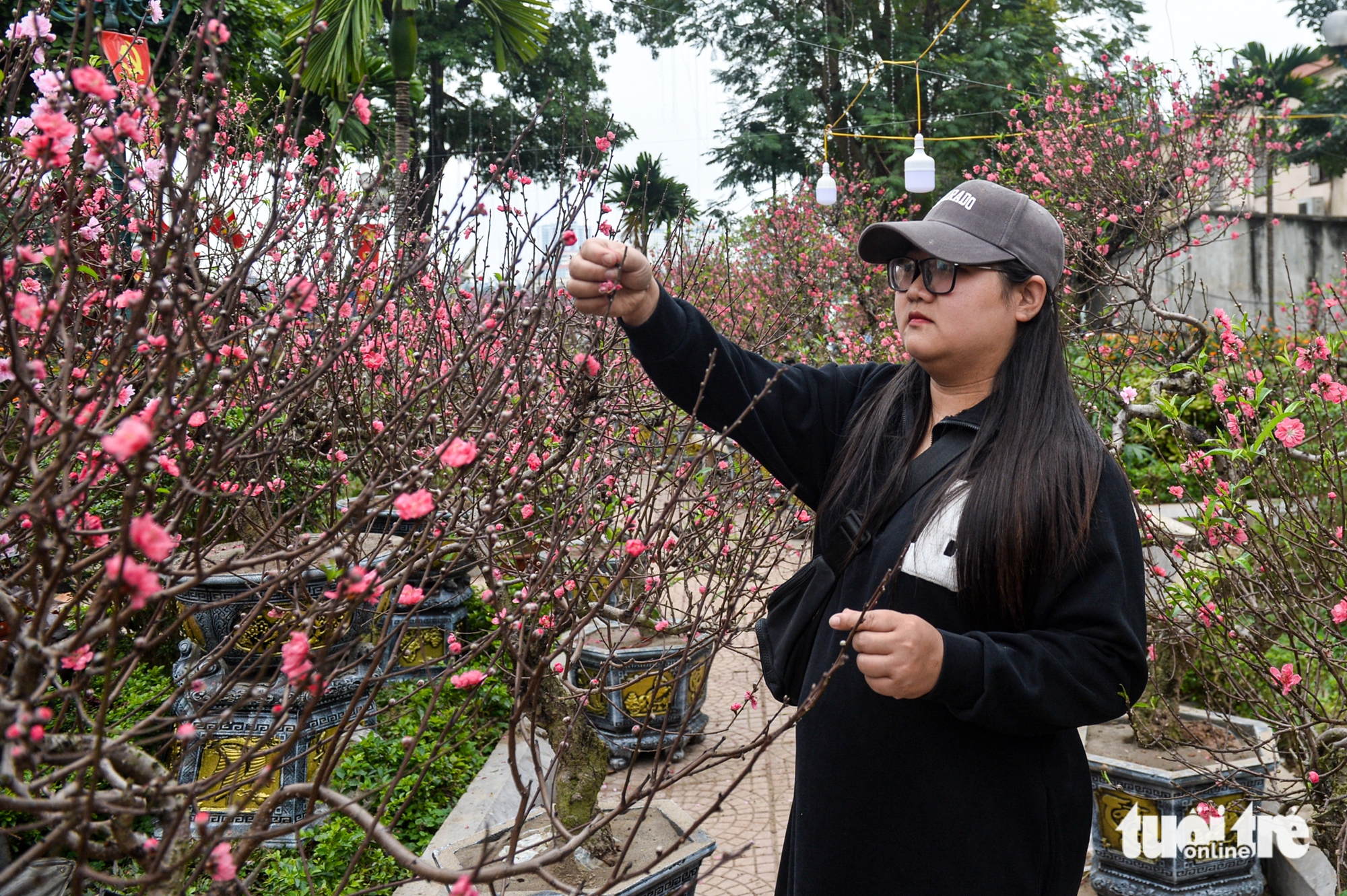 Quất 3 triệu đồng/cây đắt khách, đào 1,4 triệu đồng/cành khách lắc đầu bỏ đi - Ảnh 8.