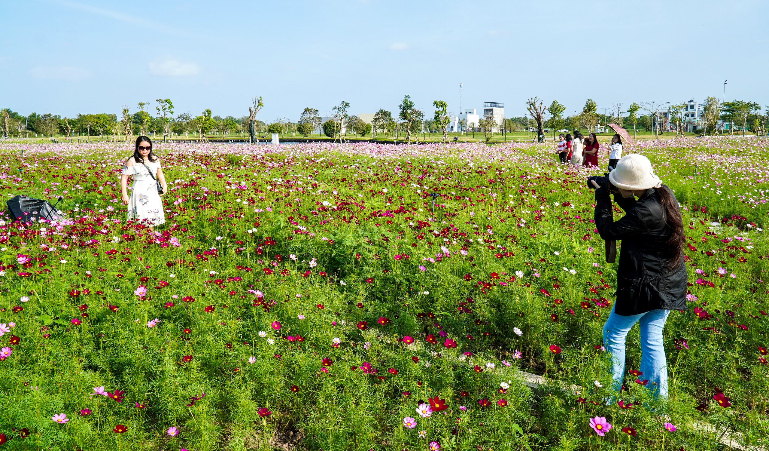 vườn hoa - Ảnh 7.