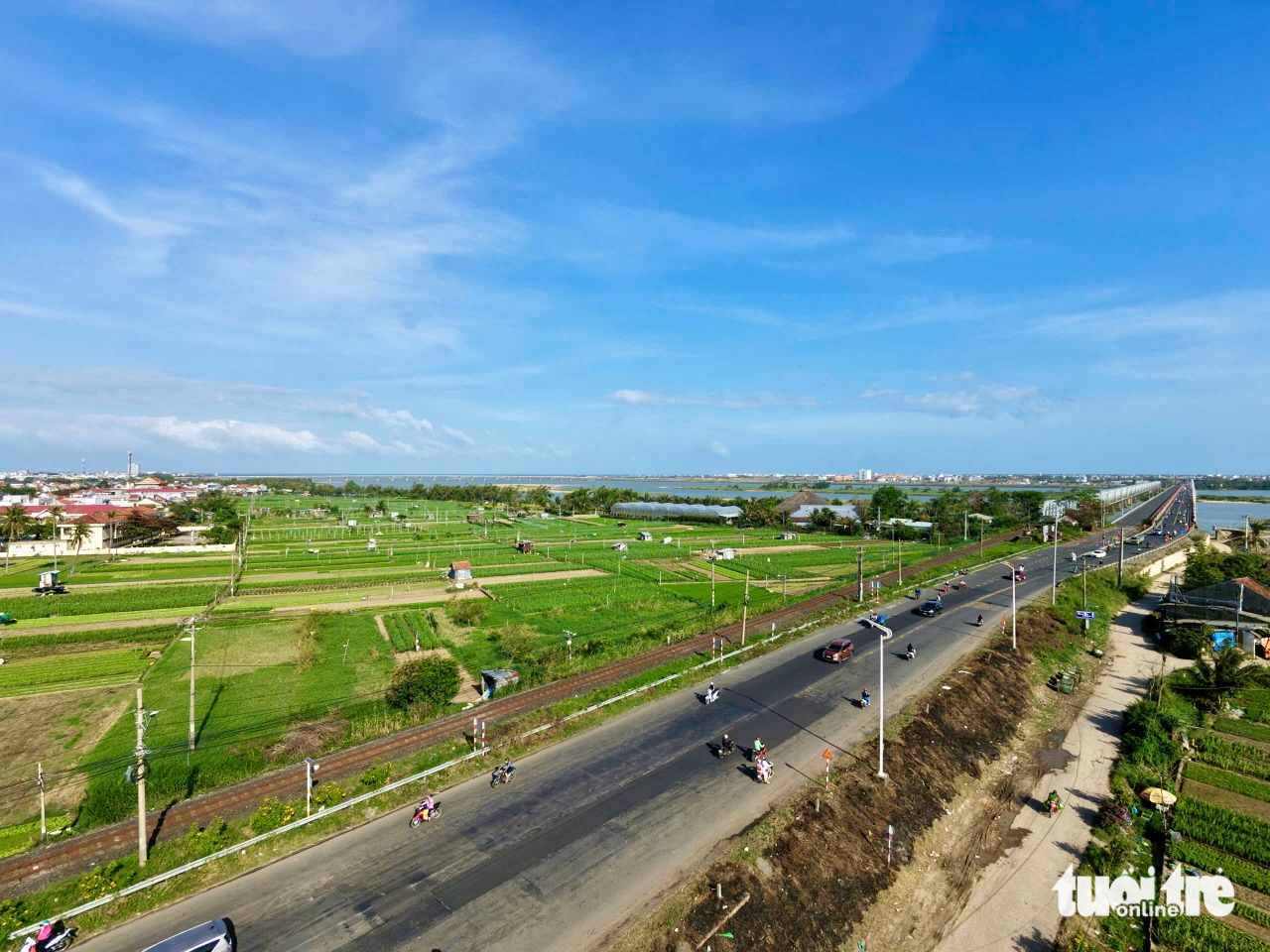 hoa Tết - Ảnh 7.