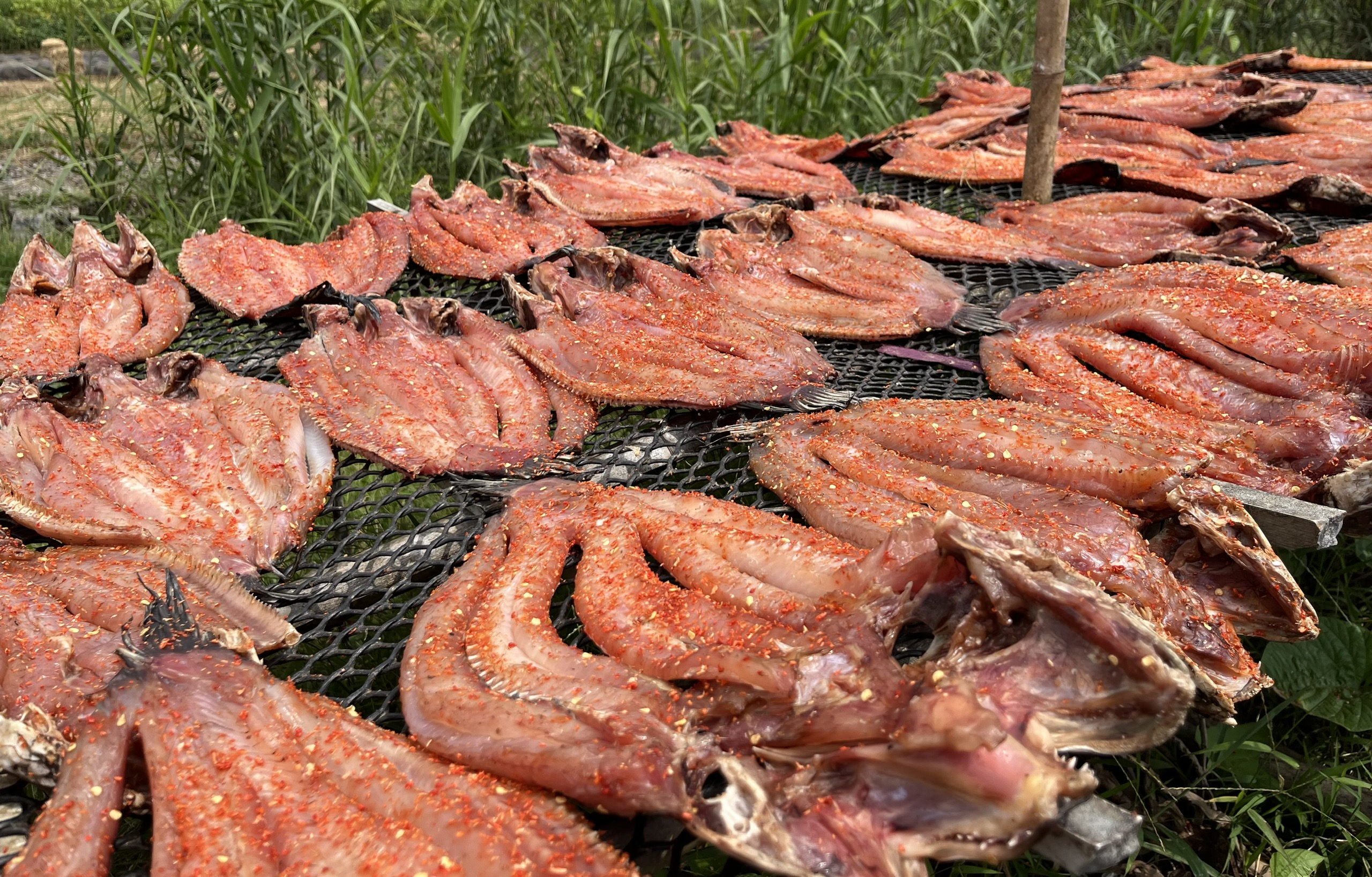 Cần Thơ - Ảnh 2.