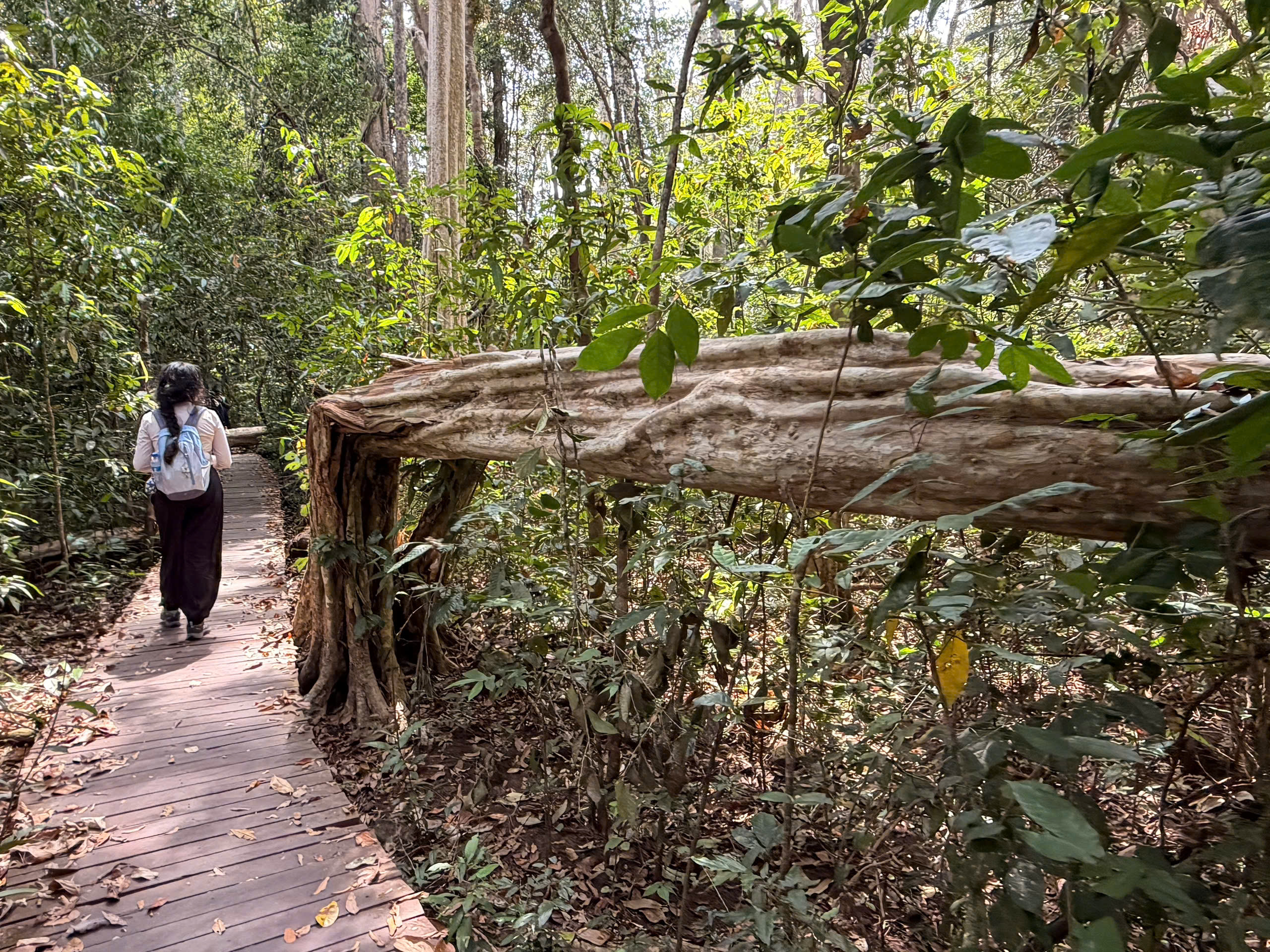 cát tiên - Ảnh 2.