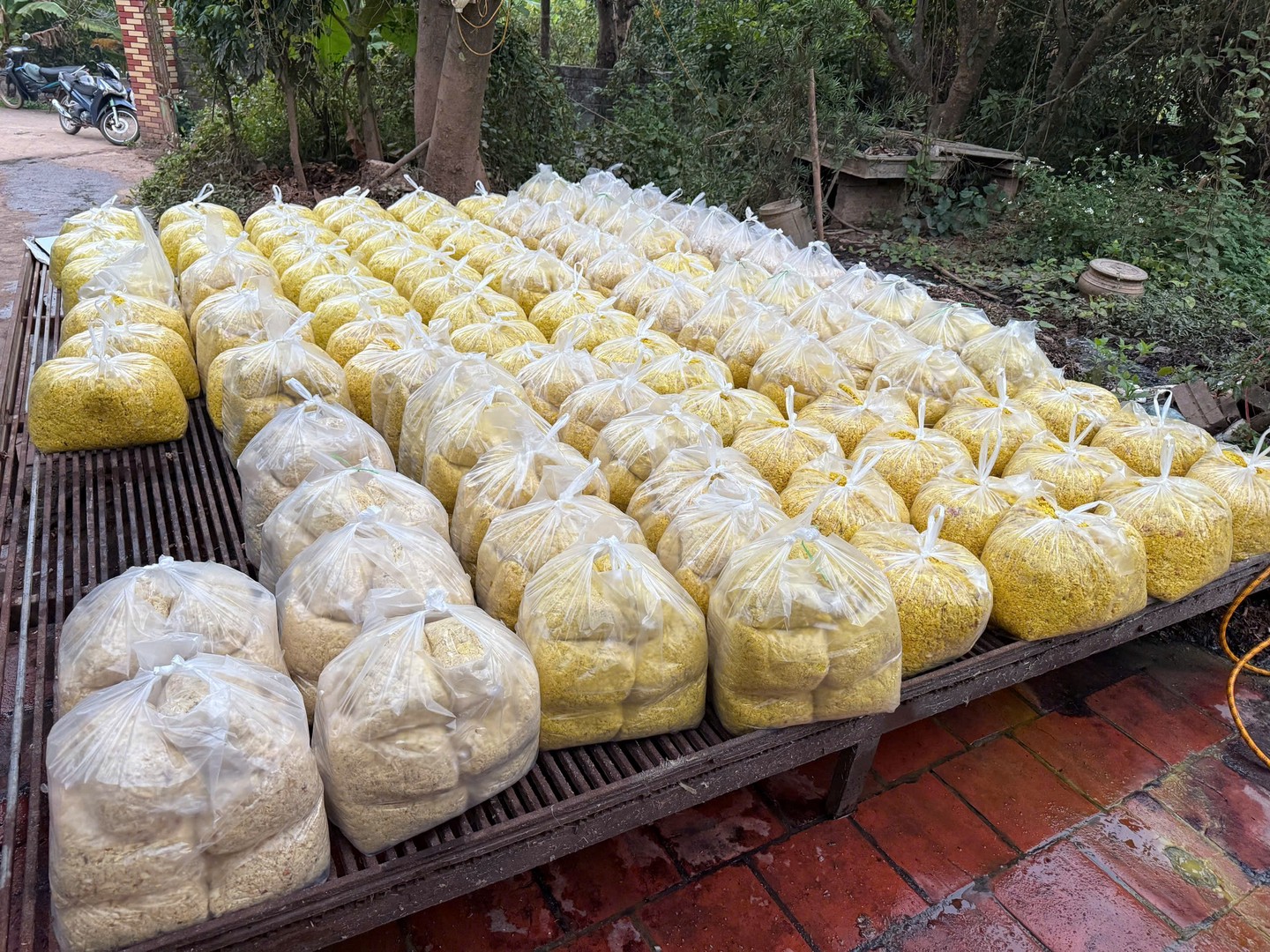 Gần 2 tấn riềng xay trộn chất cấm nguy cơ gây ung thư: Hé Thủ đoạn ra sao? - Ảnh 2. Hàng tấn riềng xay trộn chất gây ung thư: Chủ cơ sở làm riềng 'vàng đẹp, tươi lâu' thế nào? - Ảnh 2.