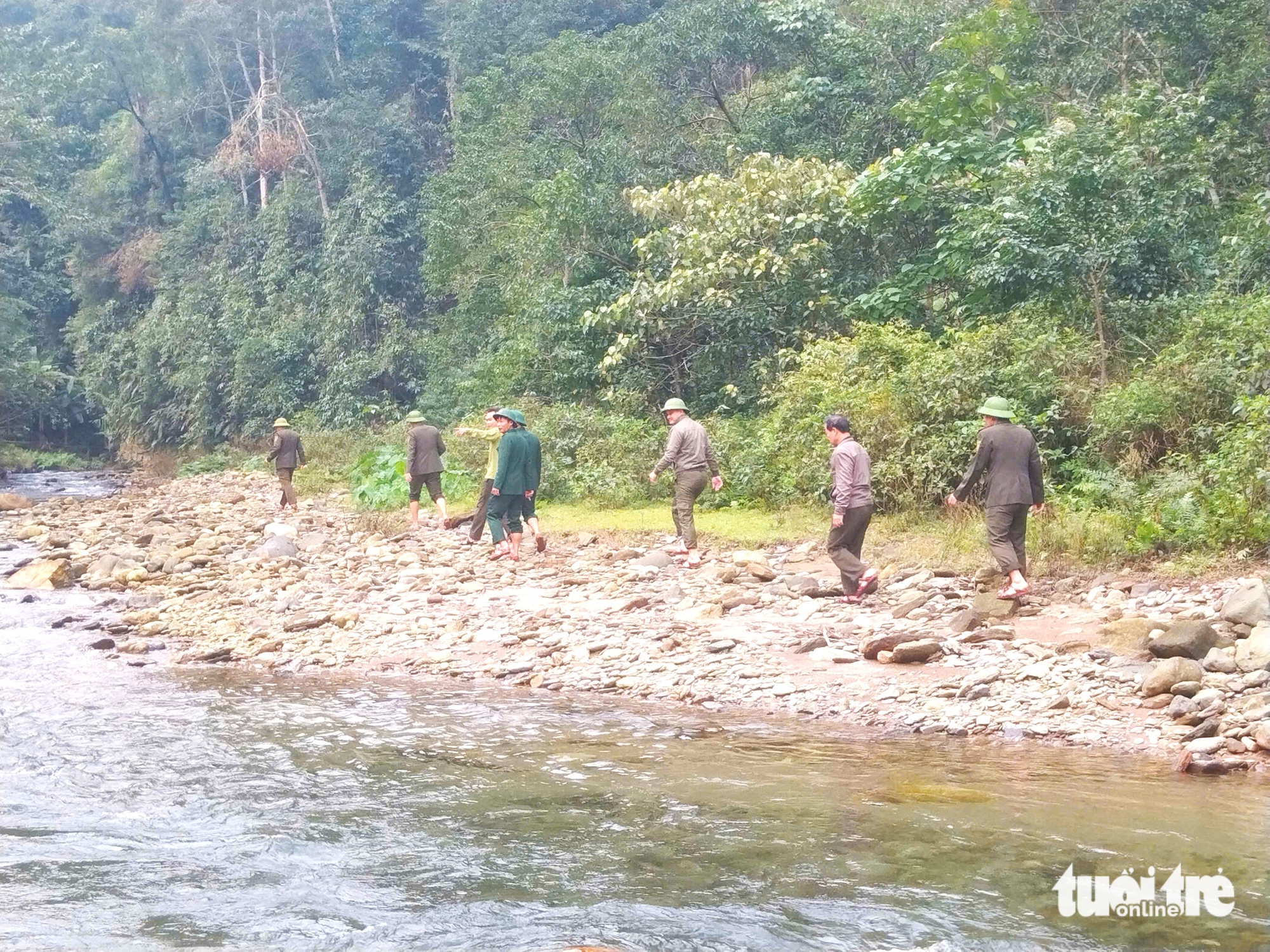 giữ rừng - Ảnh 1.