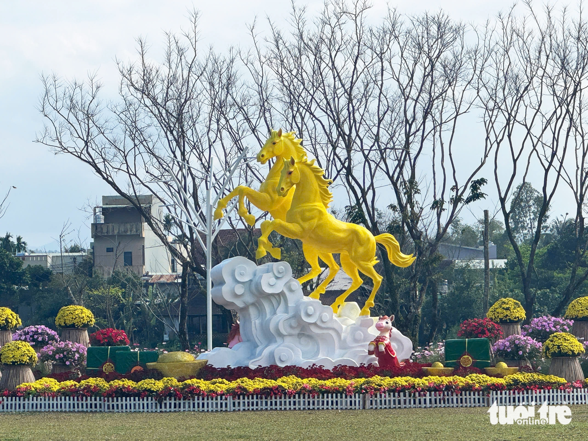 sưa cổ thụ - Ảnh 7.