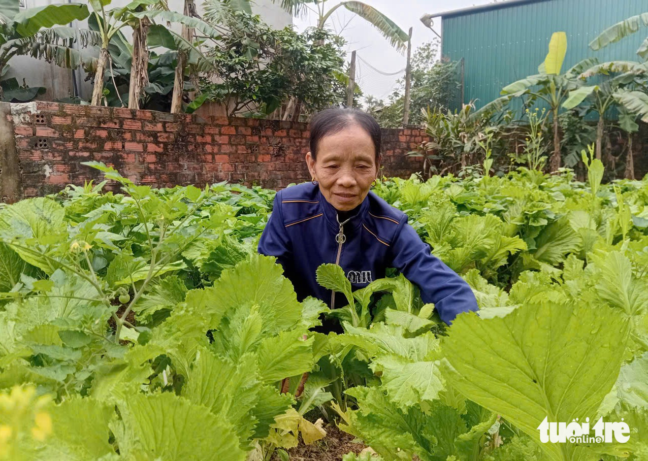 kẻ gỗ - Ảnh 1.