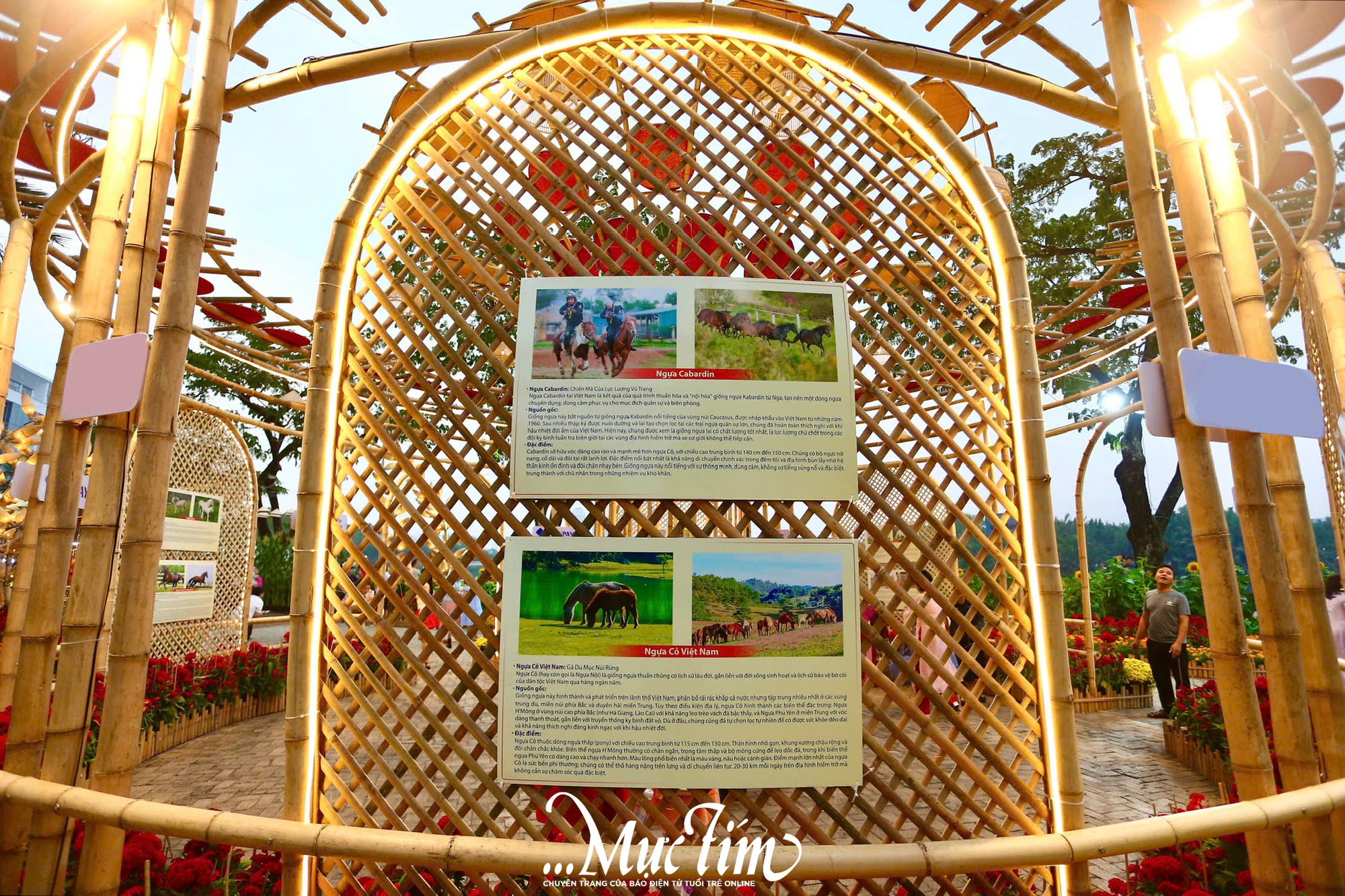 Dạo bước Hội hoa xuân Phú Mỹ Hưng 2026, khám phá những 'chiến mã' nổi tiếng thế giới- Ảnh 6.