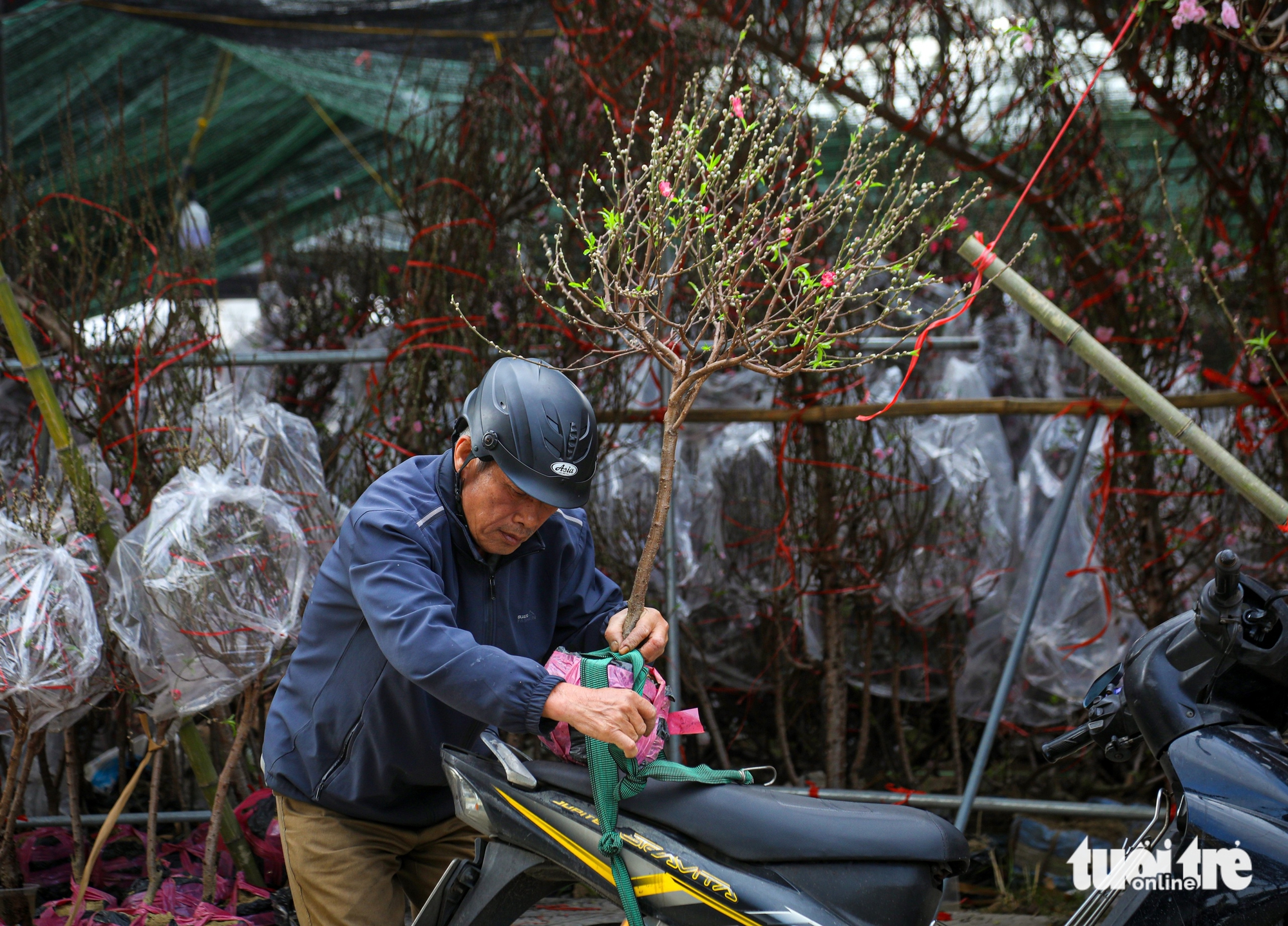 Đà Nẵng - Ảnh 11.