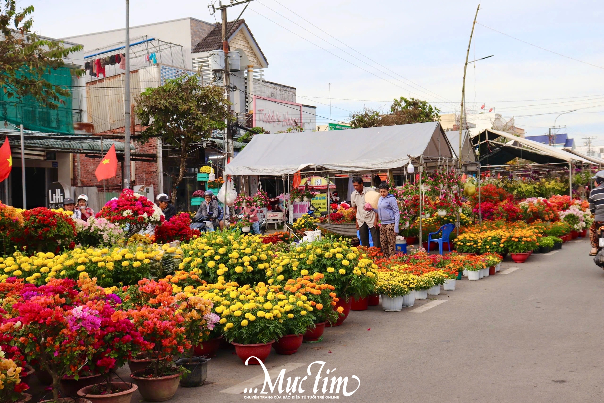 Ngập tràn sắc xuân tại chợ hoa Tết Bính Ngọ phường Ngã Bảy (TP Cần Thơ)- Ảnh 1.