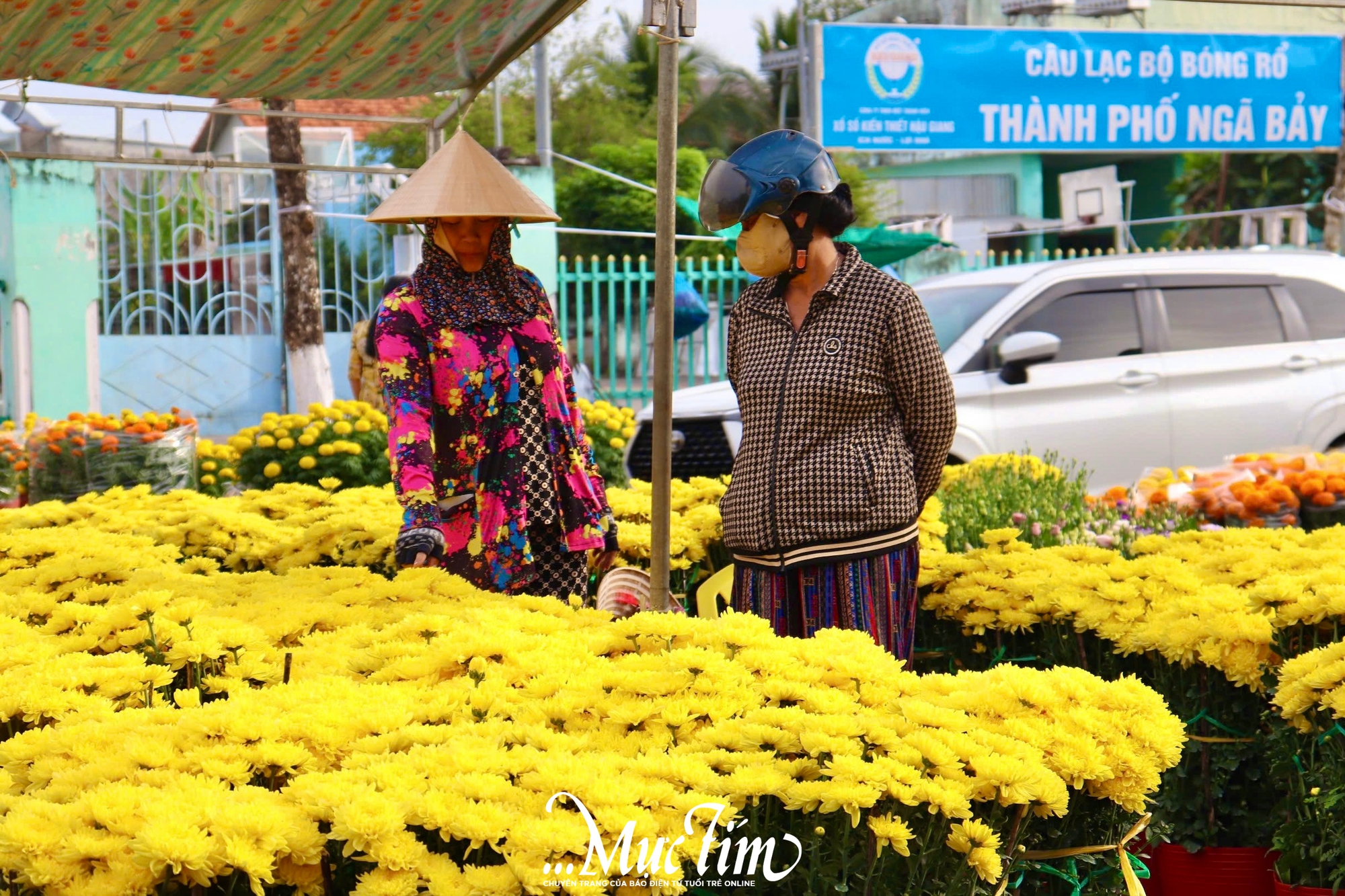Ngập tràn sắc xuân tại chợ hoa Tết Bính Ngọ phường Ngã Bảy (TP Cần Thơ)- Ảnh 6.