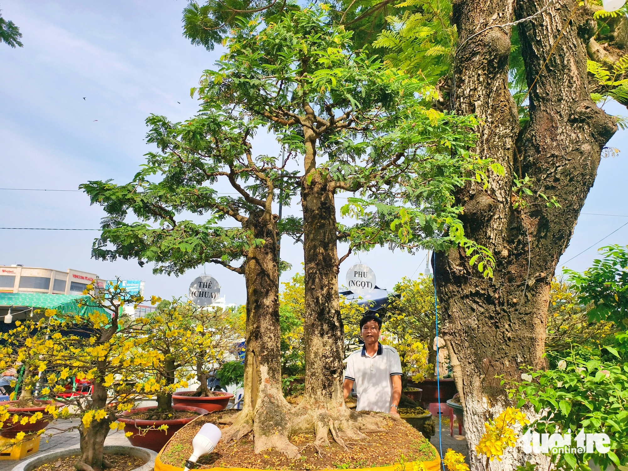 Long Xuyên - Ảnh 1.