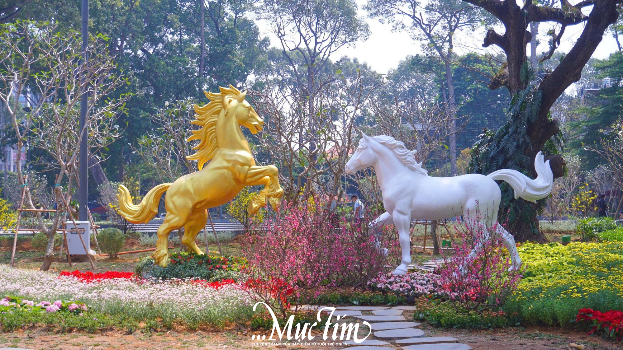 Bạn trẻ xúc động khi tham quan Công viên số 1 Lý Thái Tổ - Ảnh 13.