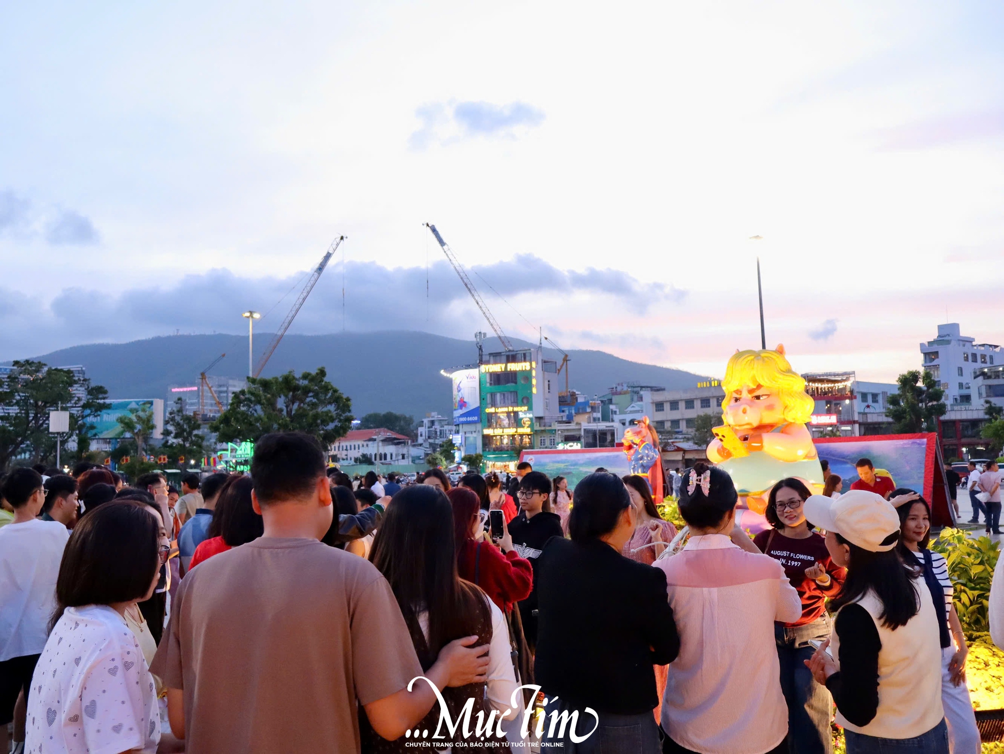 Check-in ngay cụm linh vật ngựa đang 'viral' ở Quy Nhơn (Gia Lai)- Ảnh 2.