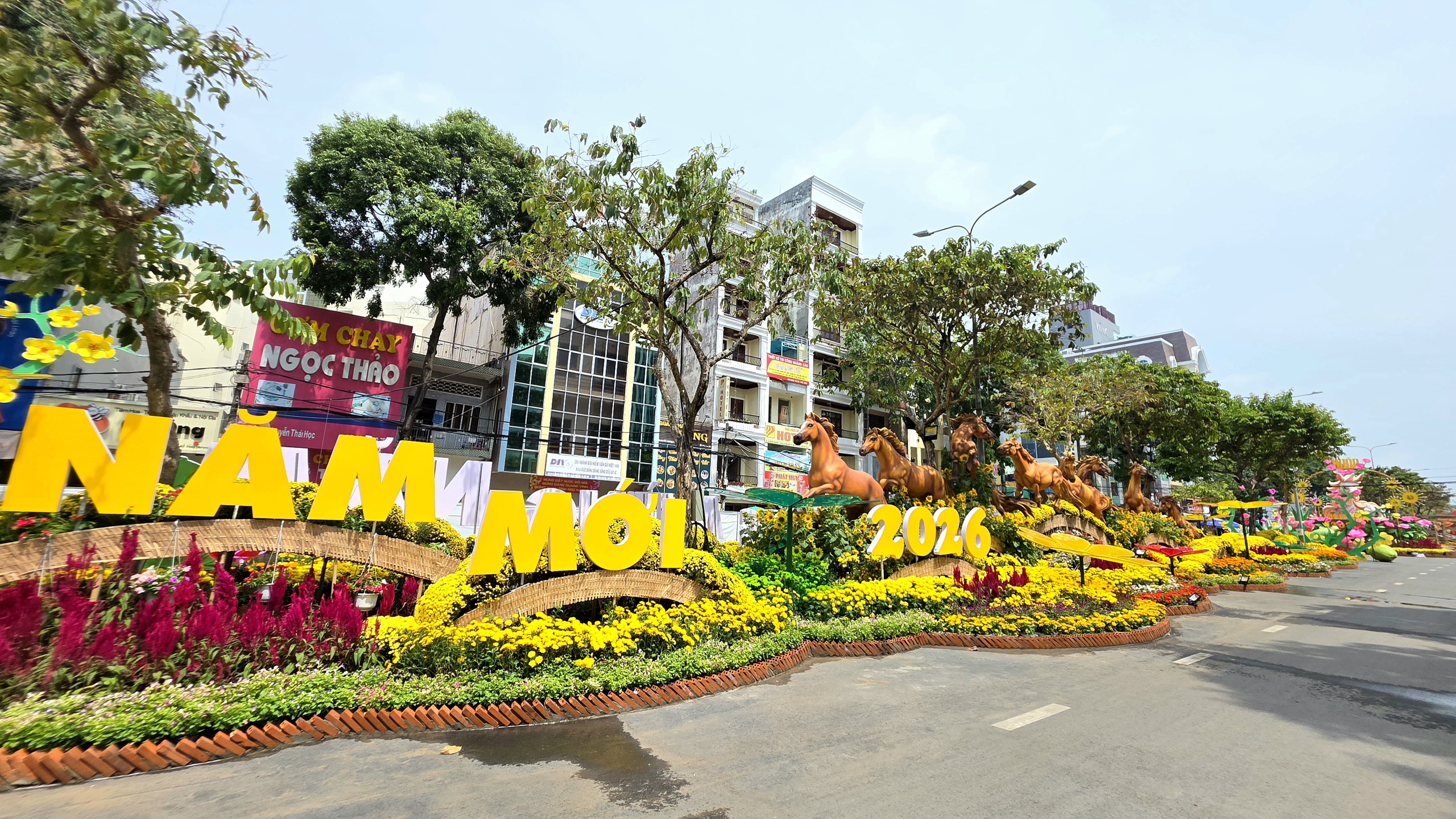 Cần Thơ khai mạc đường hoa nghệ thuật xuân Bính Ngọ 2026 - Ảnh 5.